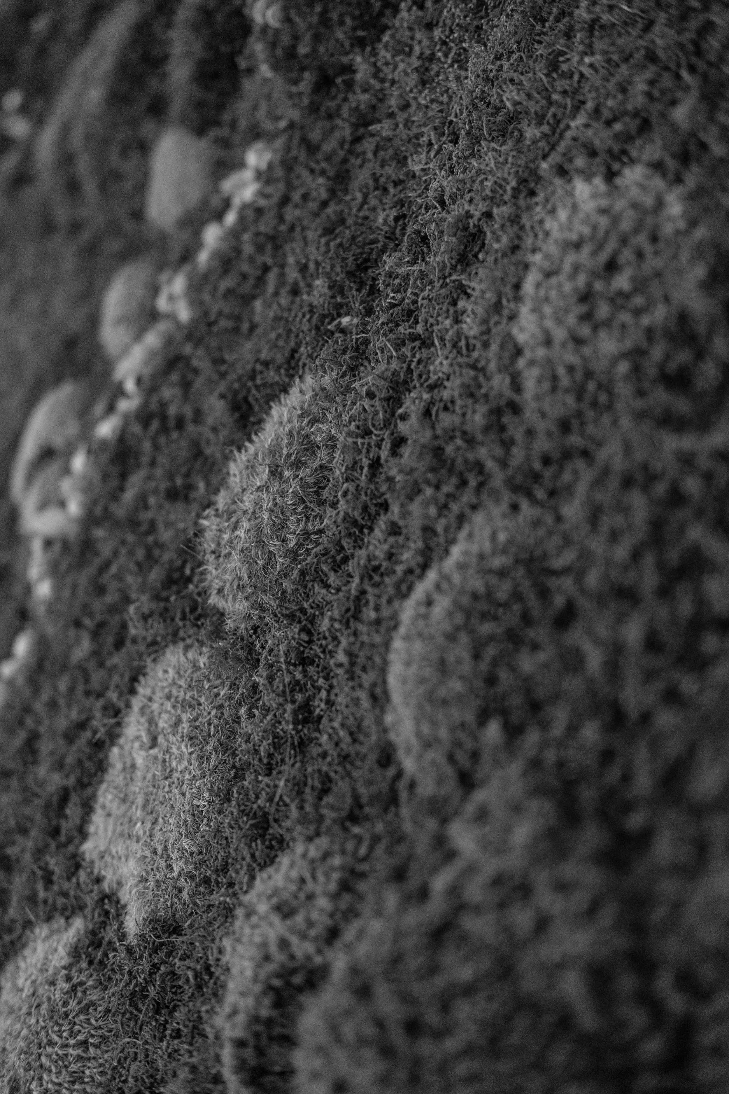Close-up of a textured fabric surface with detailed fibers.