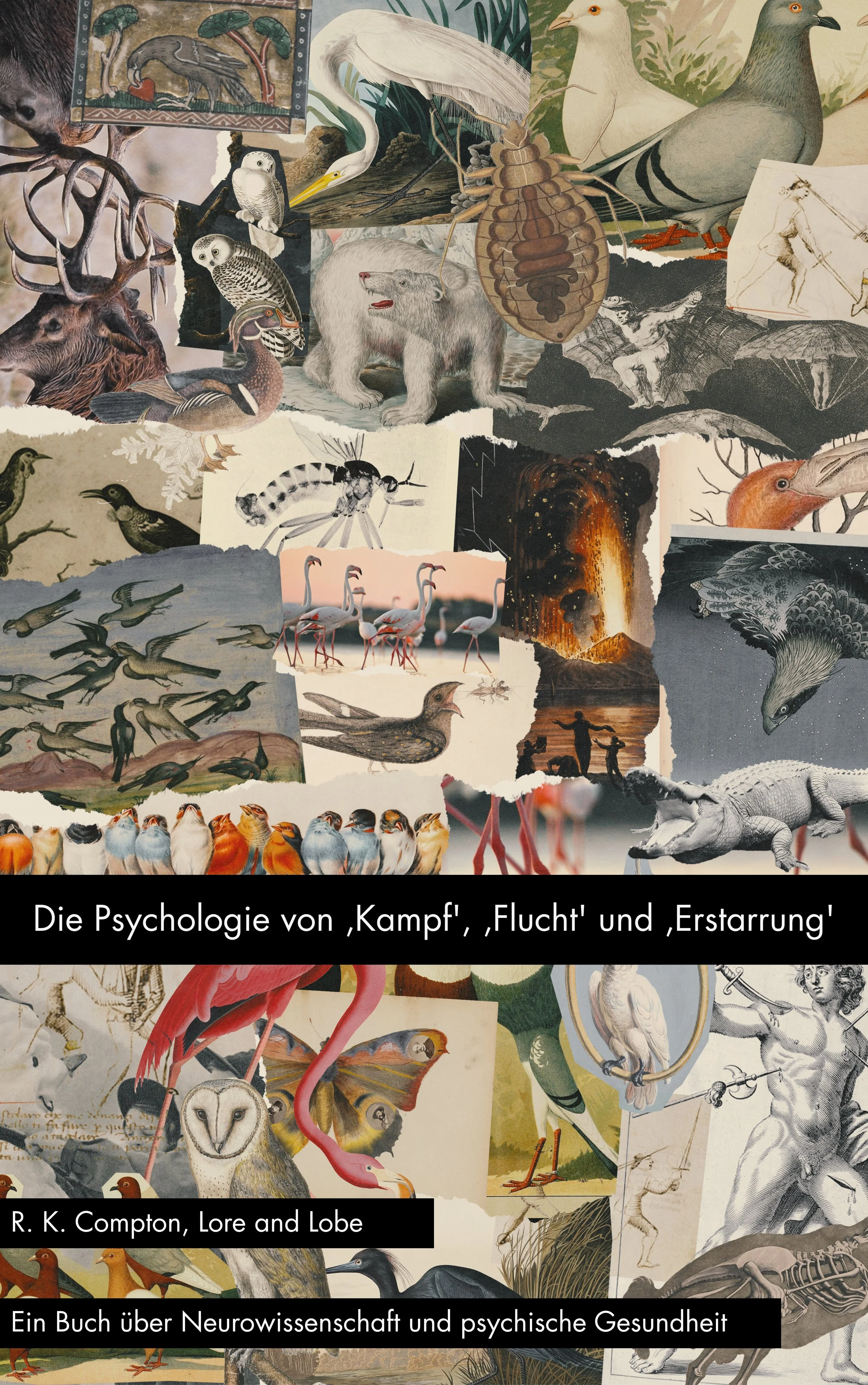 German front cover