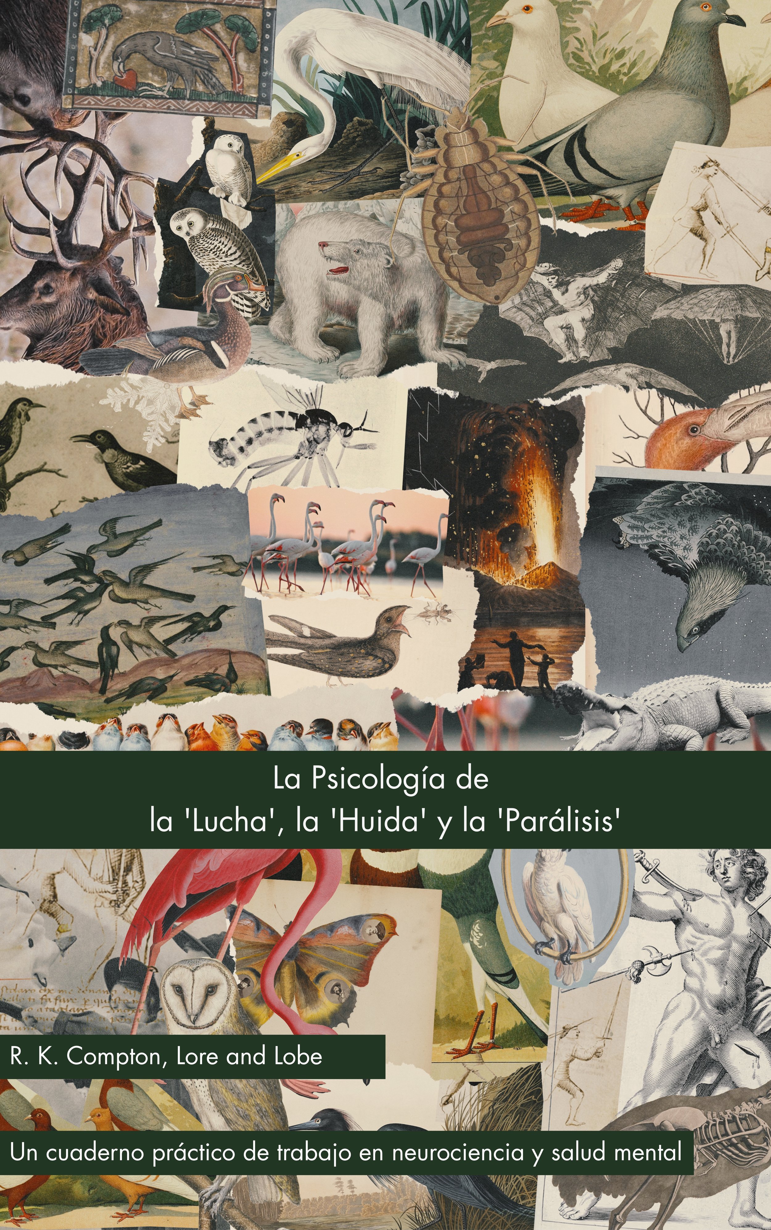Spanish front cover