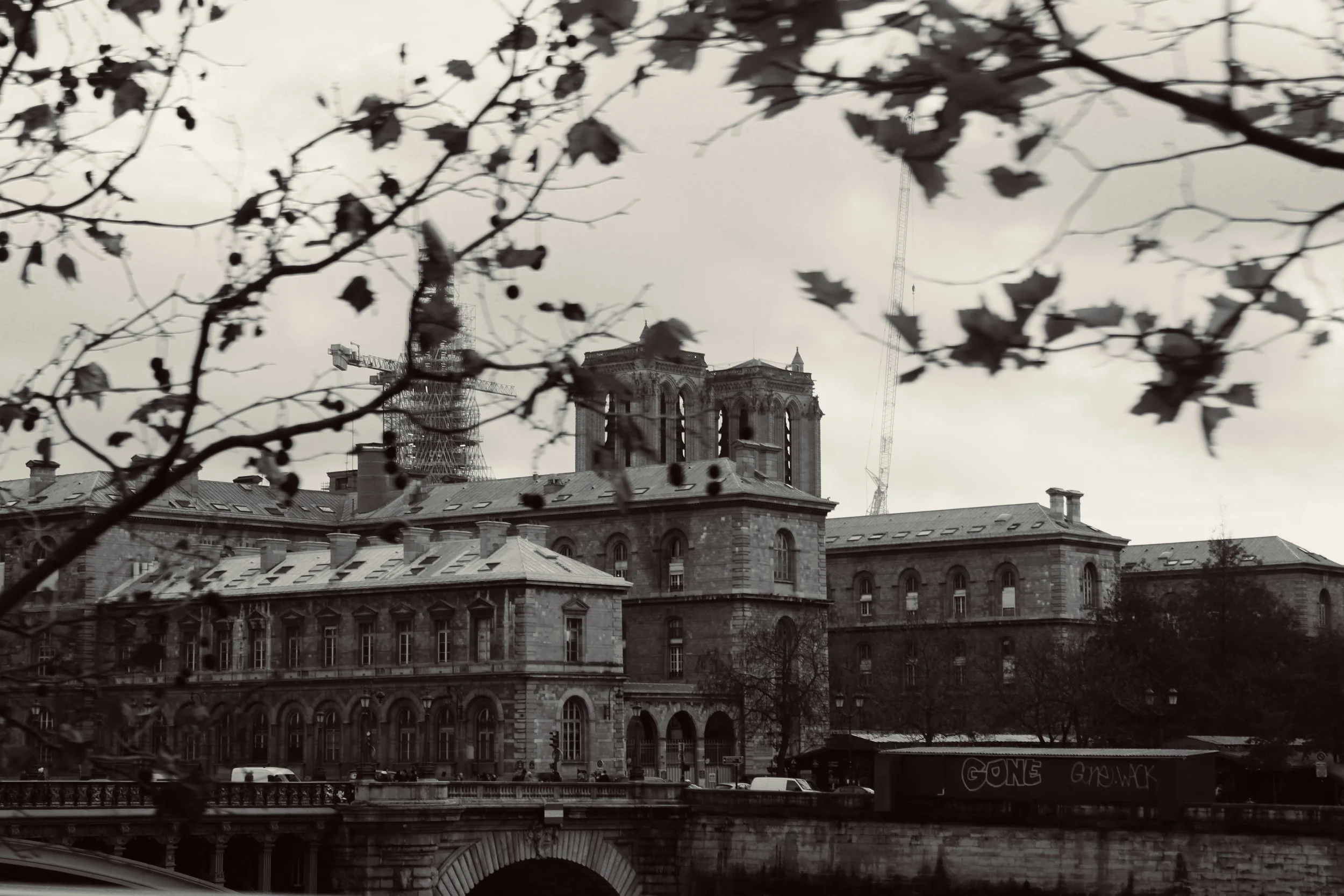 A black-and-white photo of historic European-style buildings with a bridge in the foreground, leafless tree branches in the upper foreground, and construction cranes in the background.