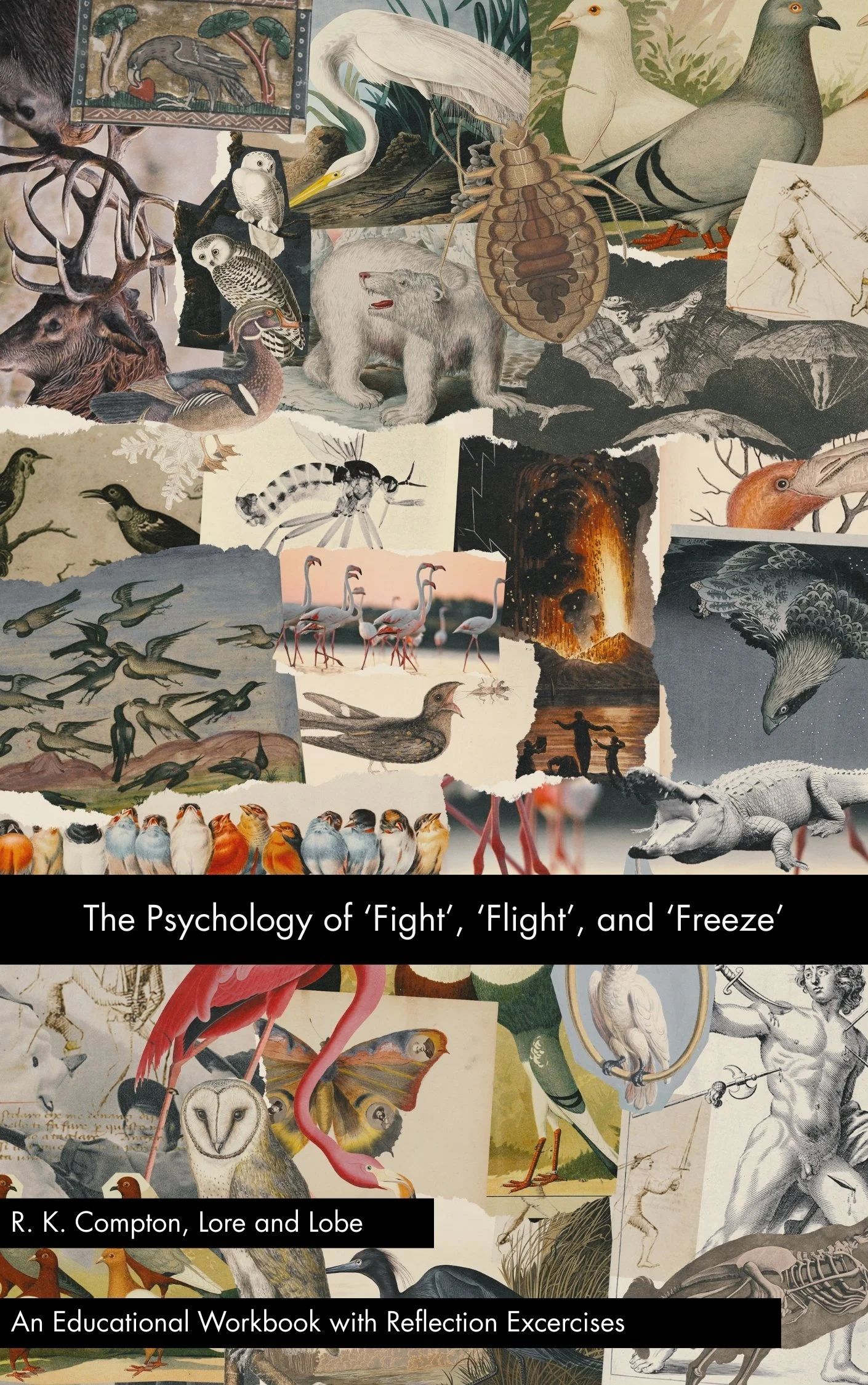 Collage of various animals, sketches, and natural scenes, with the title 'The Psychology of 'Fight', 'Flight', and 'Freeze'' and author 'R. K. Compton, Lore and Lobe'.