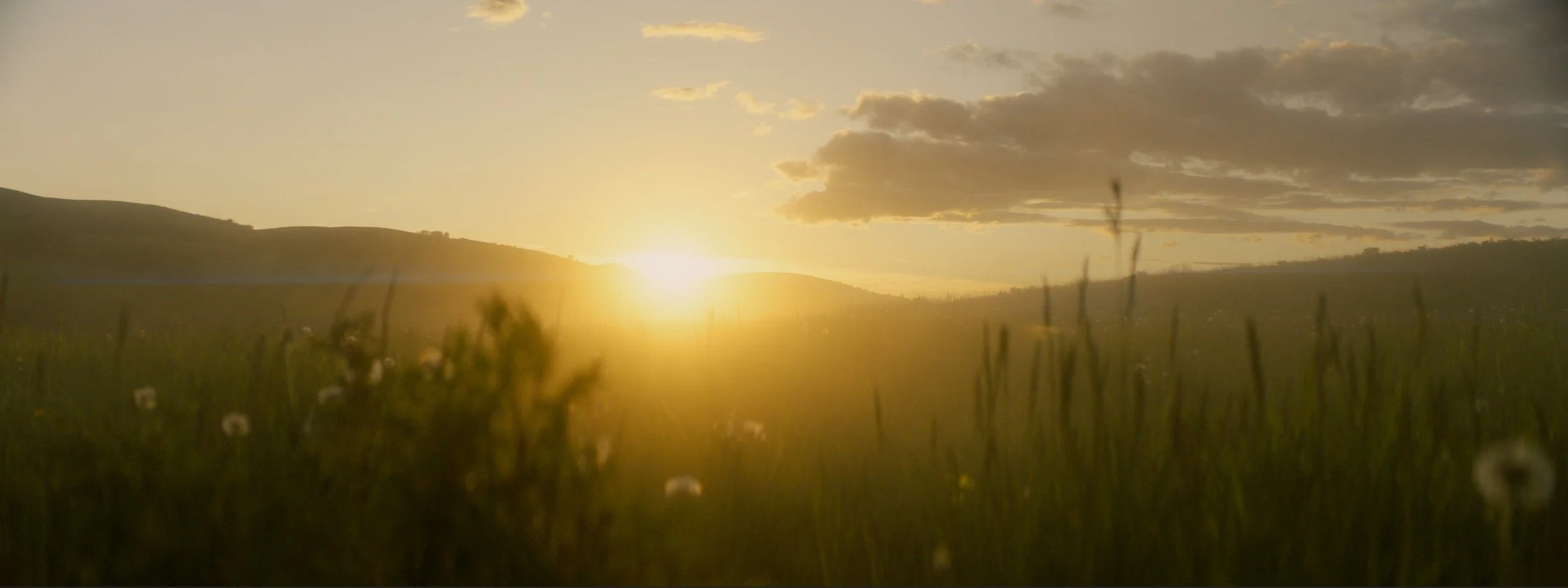 daniel-hollis-diamond-cinematographer-cinematography-director-of-photography-mcdonalds-7.jpg