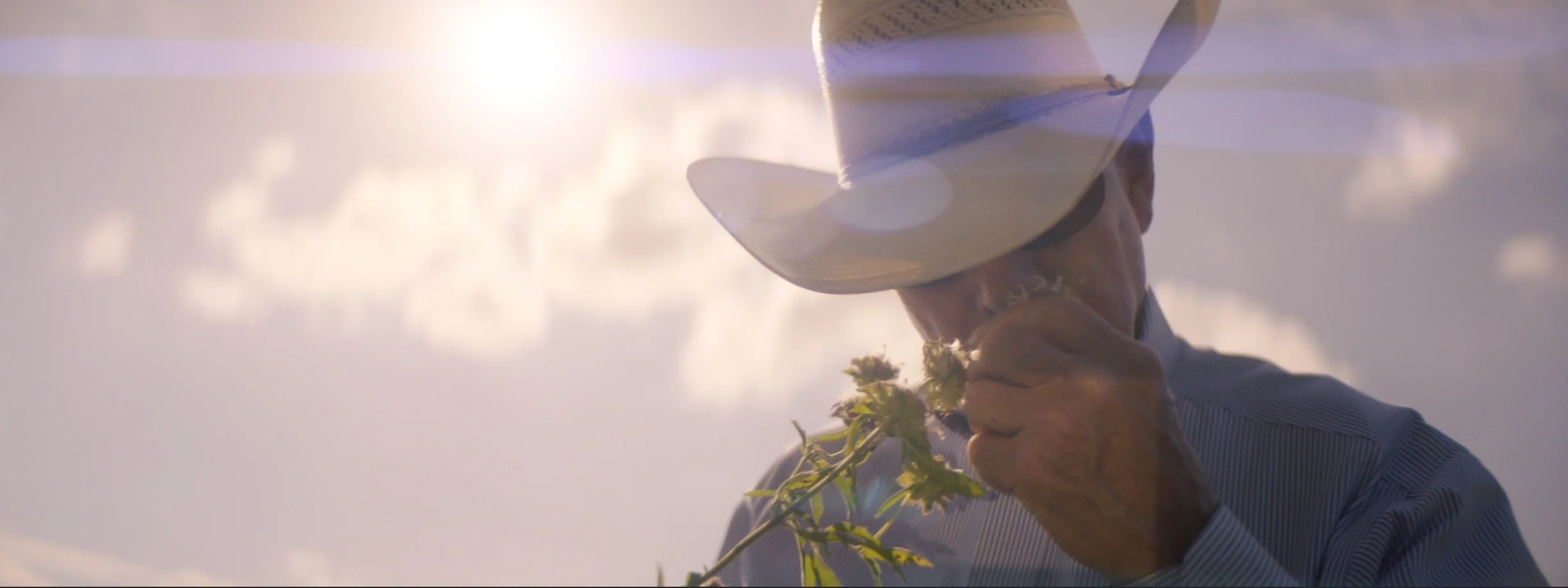 daniel-hollis-diamond-cinematographer-cinematography-director-of-photography-texas-34.jpg
