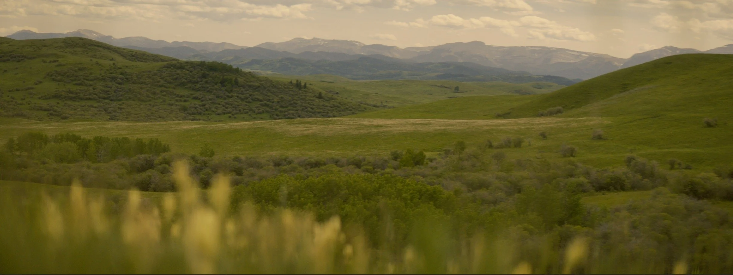 daniel-hollis-diamond-cinematographer-cinematography-director-of-photography-mcdonalds-5.jpg