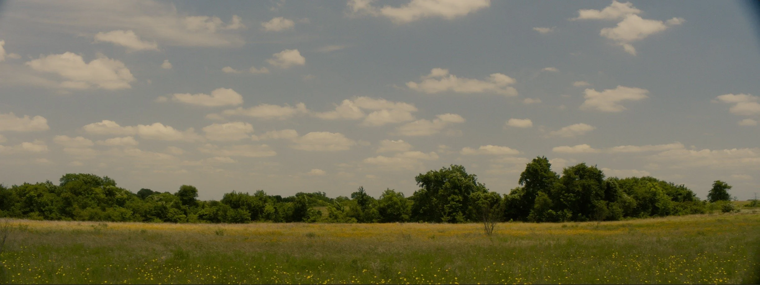 daniel-hollis-diamond-cinematographer-cinematography-director-of-photography-texas-23.jpg