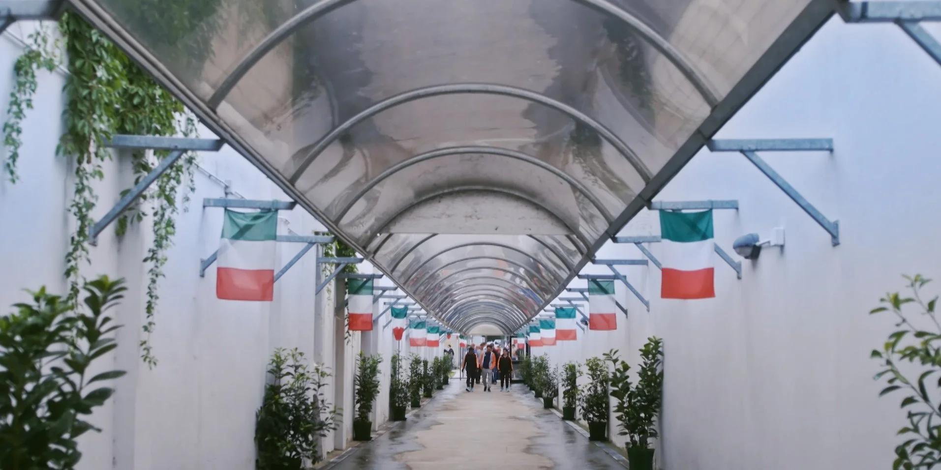 daniel-hollis-diamond-cinematographer-cinematography-director-of-photography-the-olympics-taking-refuge-target-tokyo-35.jpg