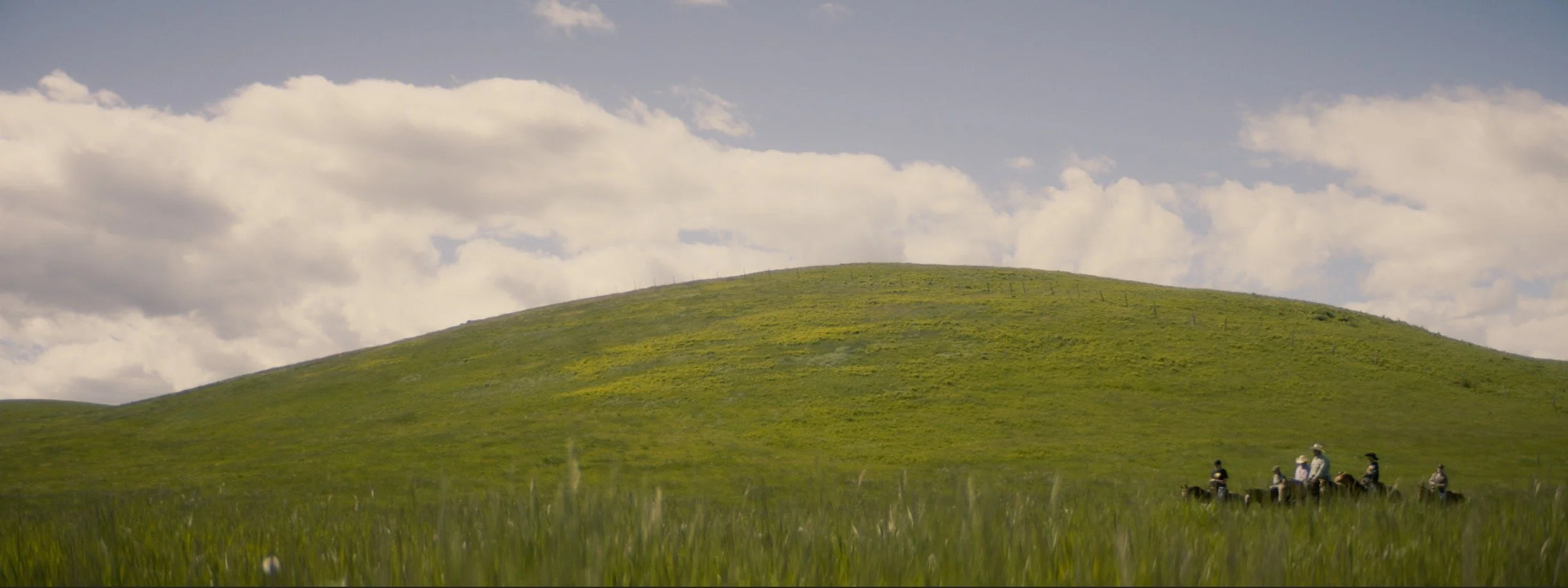 daniel-hollis-diamond-cinematographer-cinematography-director-of-photography-mcdonalds-12.jpg