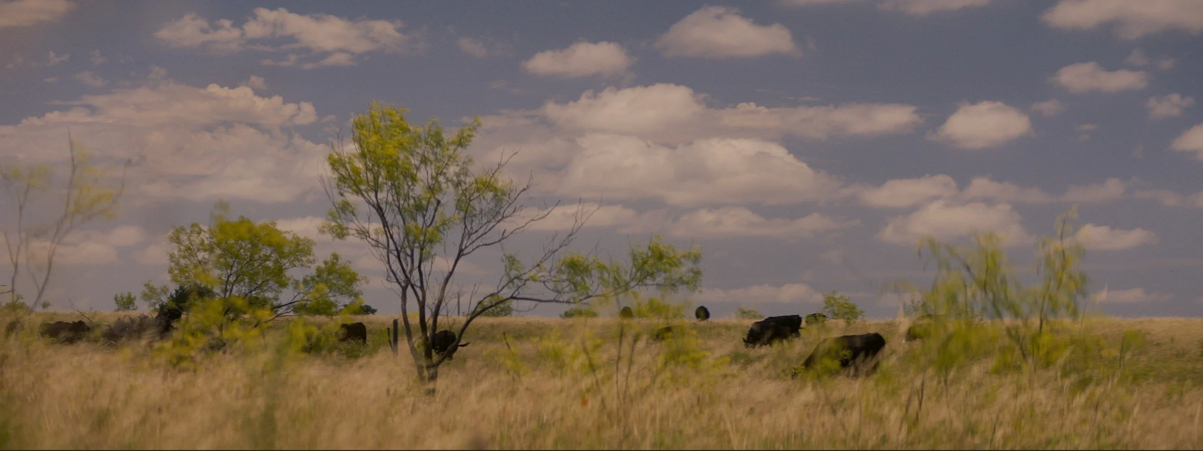 daniel-hollis-diamond-cinematographer-cinematography-director-of-photography-texas-29.jpg