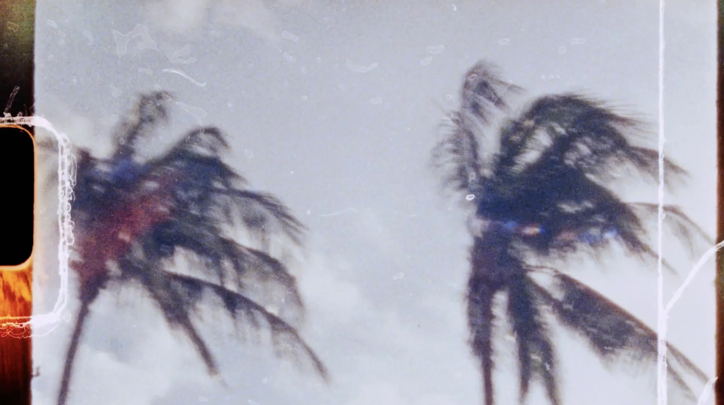 daniel-hollis-diamond-cinematographer-cinematography-director-of-photography-audemars-piguet-6.jpg