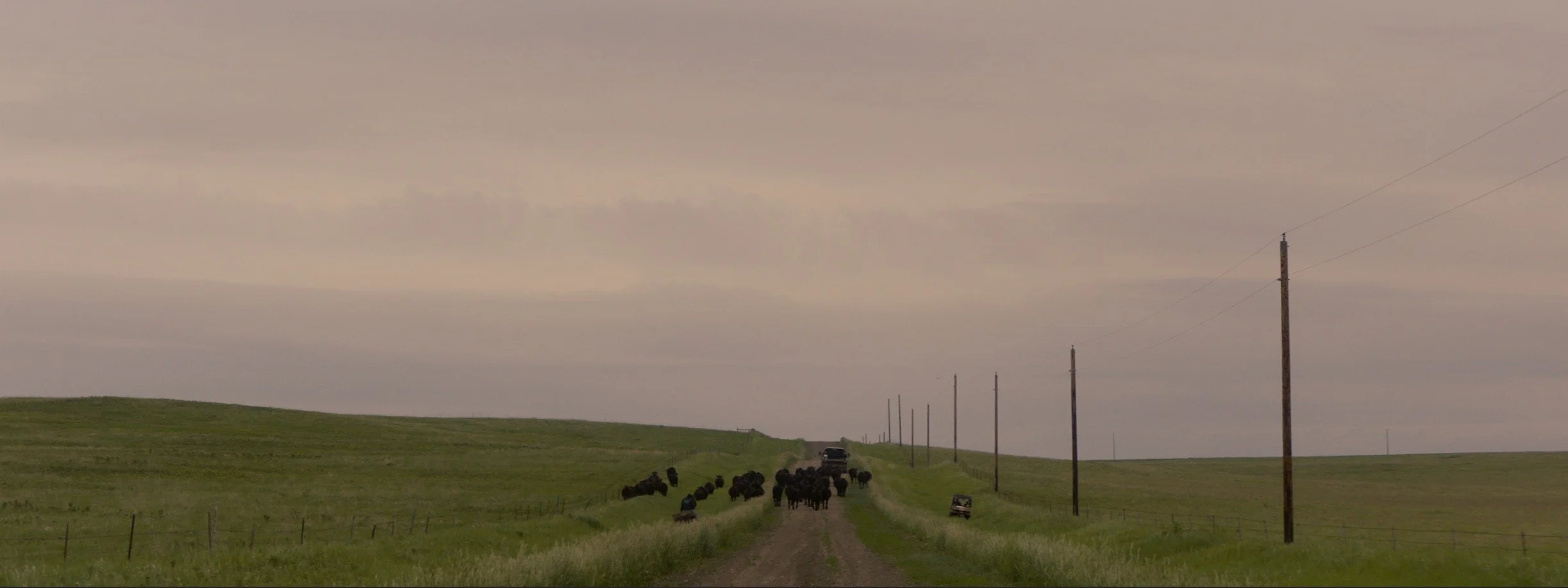 daniel-hollis-diamond-cinematographer-cinematography-director-of-photography-north-dakota-11.jpg