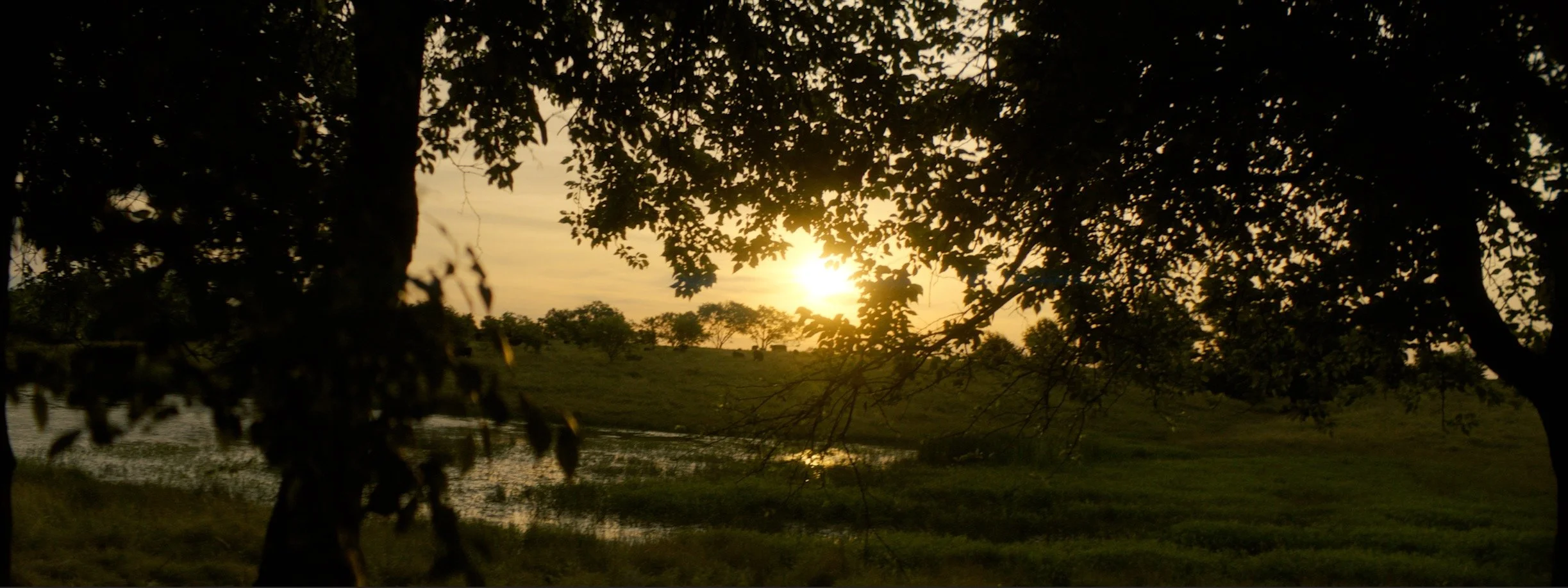 daniel-hollis-diamond-cinematographer-cinematography-director-of-photography-texas-9.jpg