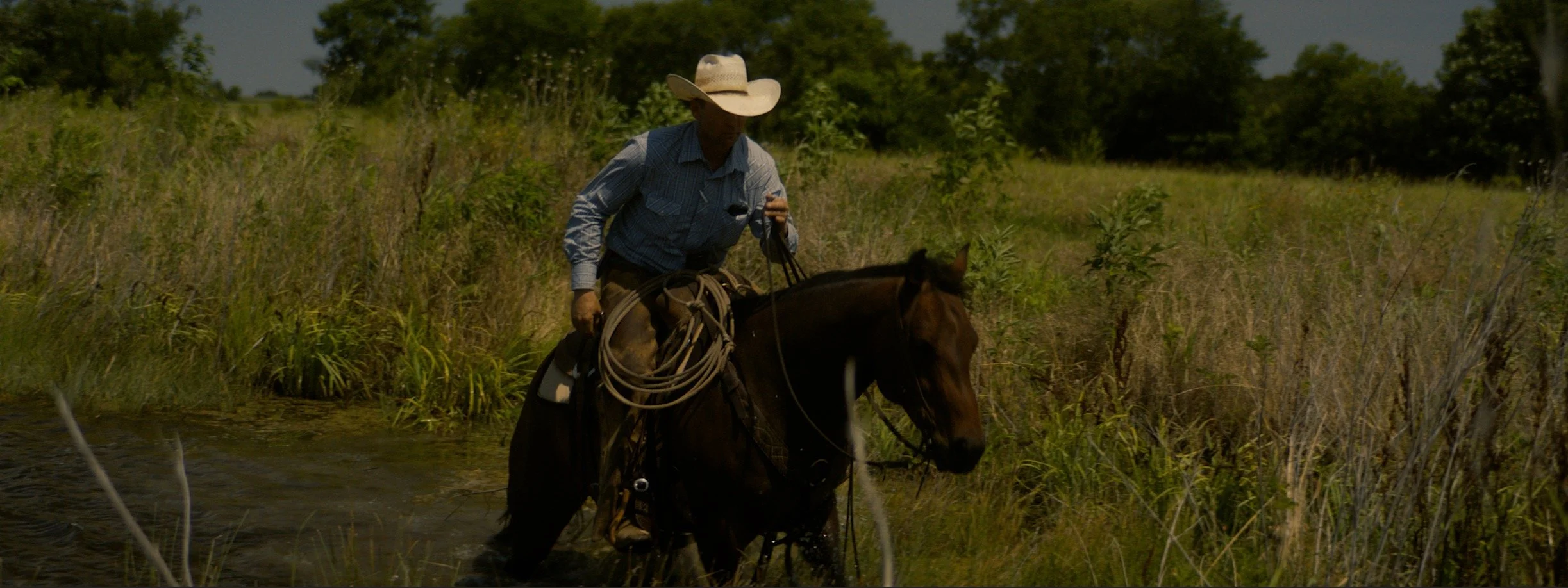 daniel-hollis-diamond-cinematographer-cinematography-director-of-photography-texas-17.jpg
