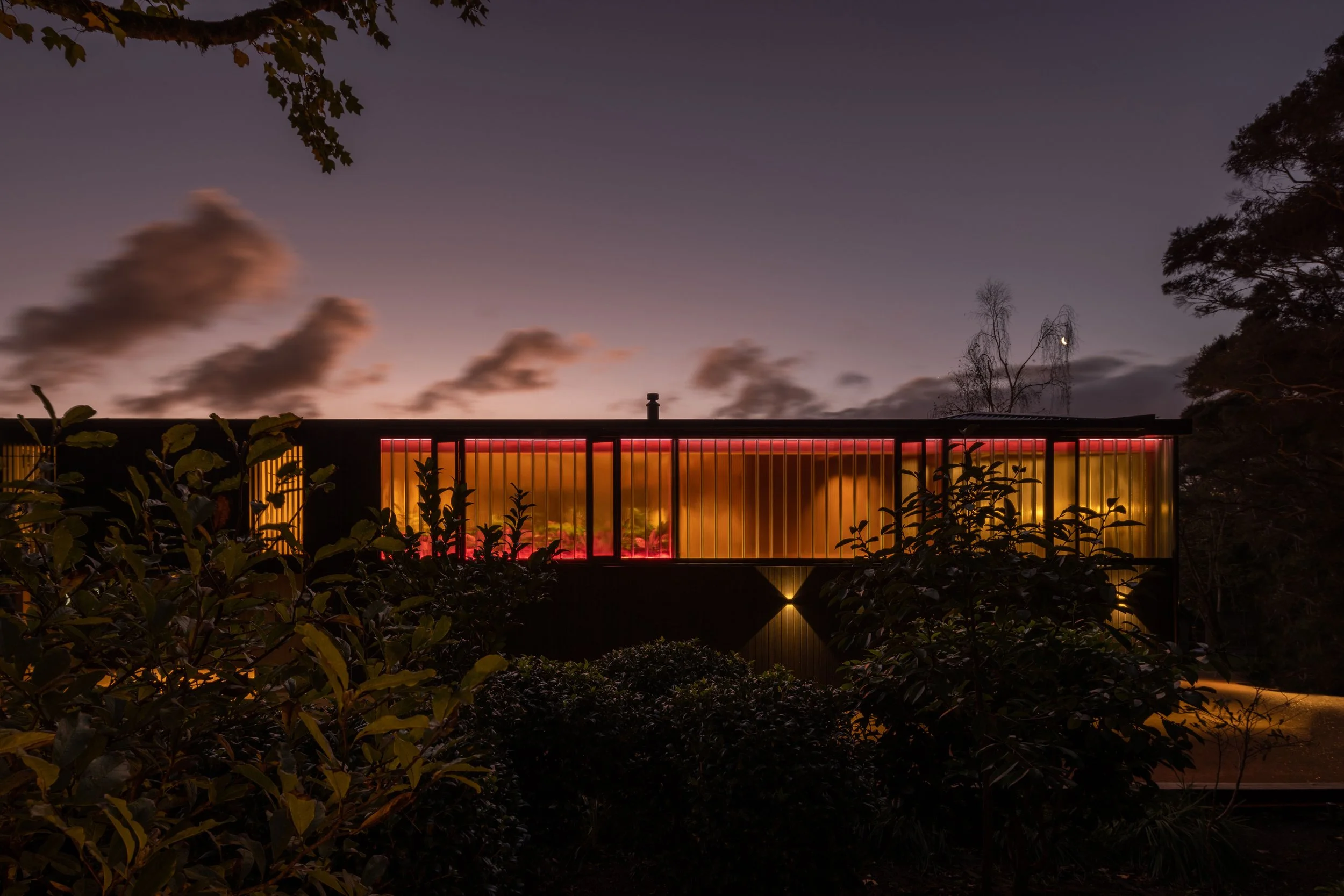 Natasha Tulp_Kauri House 2.JPG