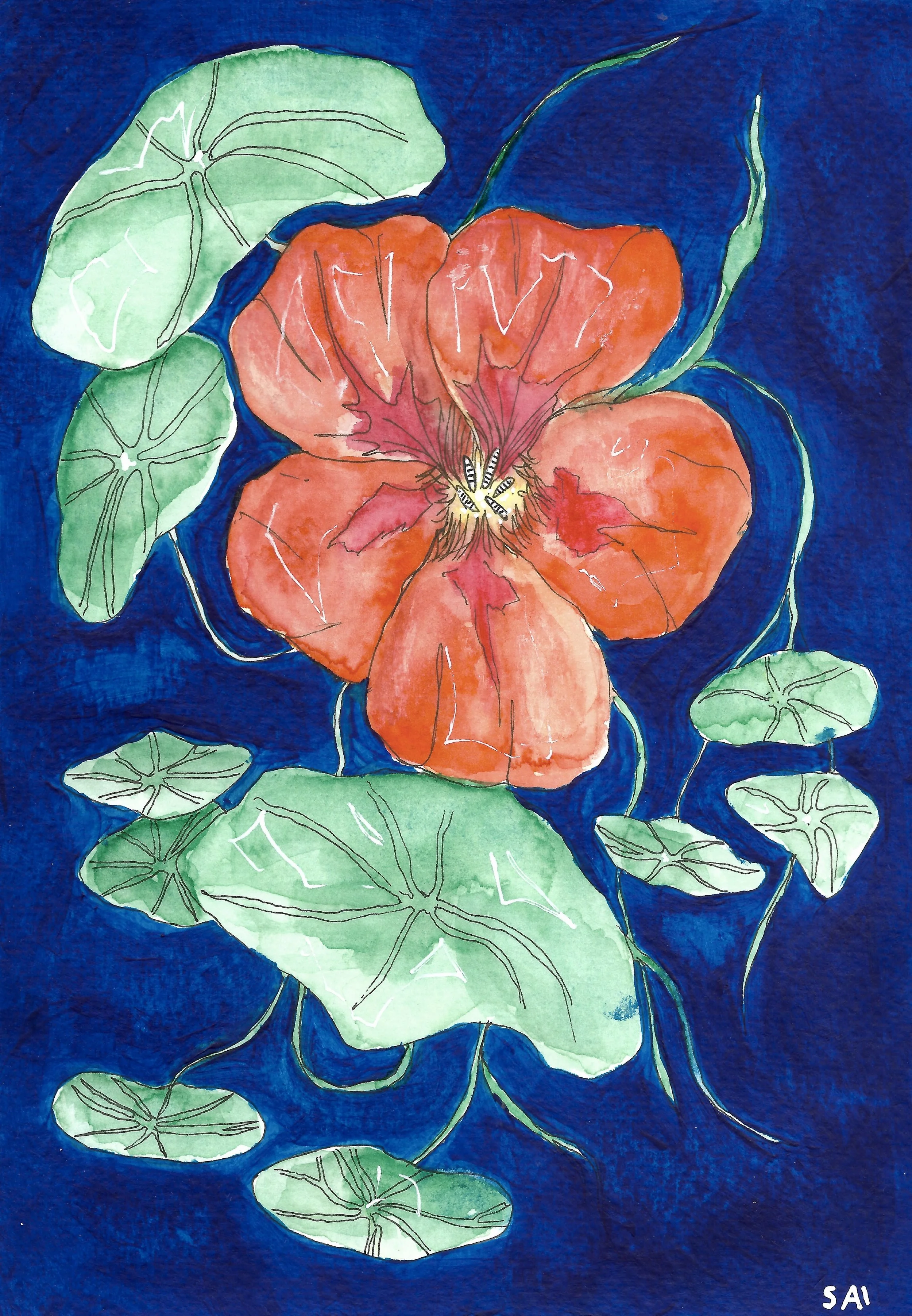 'Bloom' A5 Mixed media, watercolour, ink pen and acrylic $125