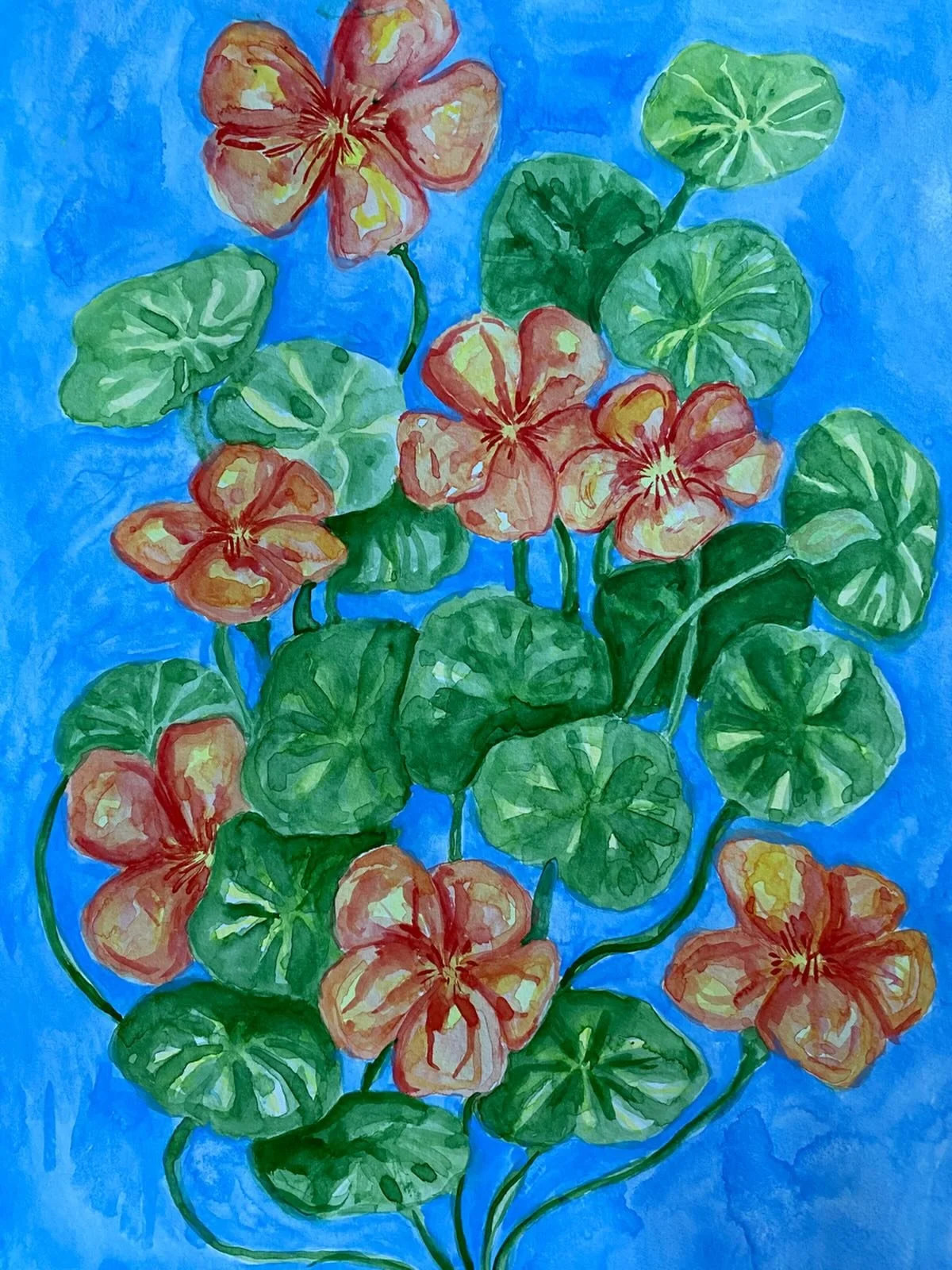 Nasturtiums in watercolour 🧡