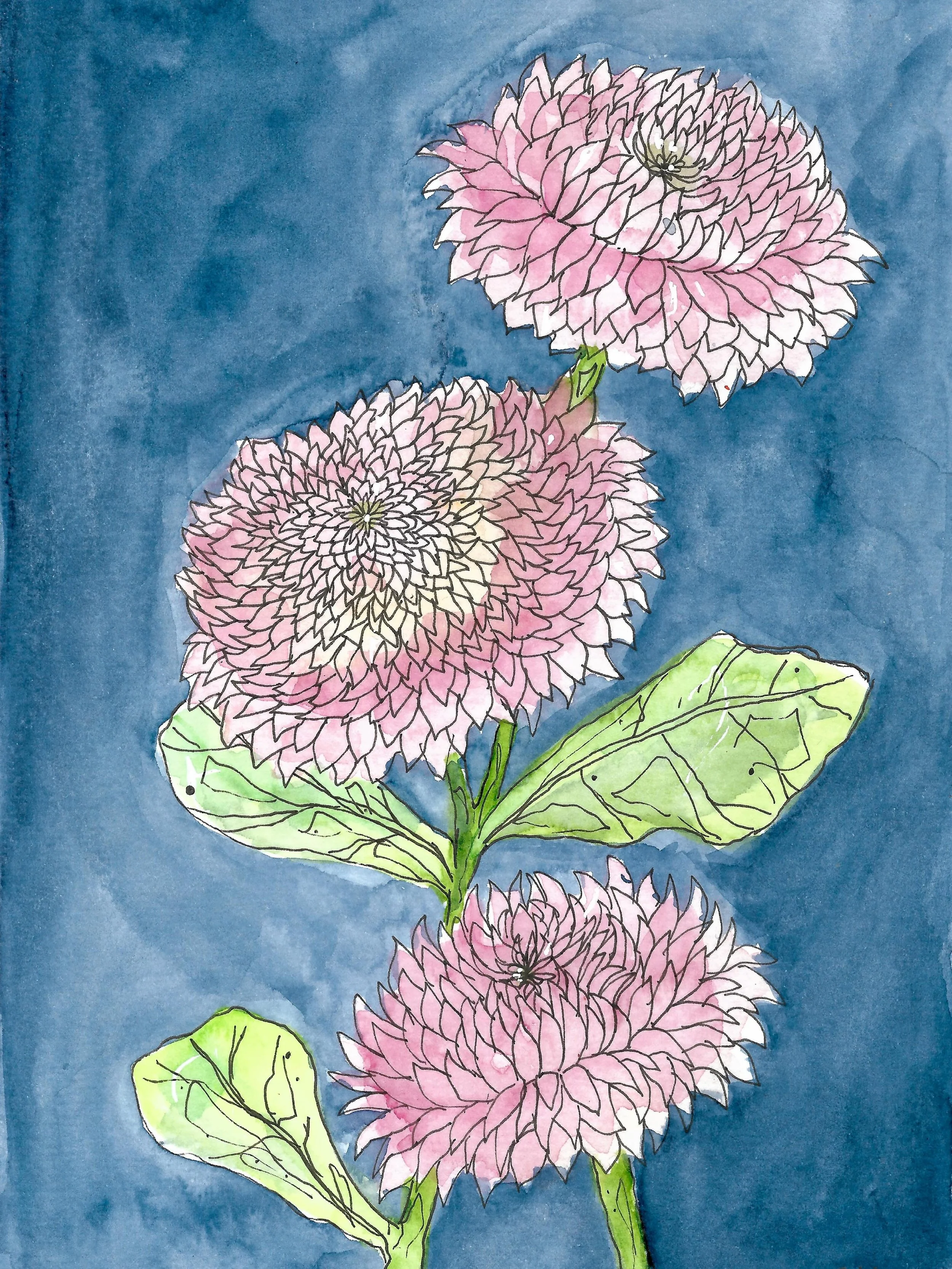 &lsquo;Dahlias&rsquo; in watercolour on paper 🧡 Dahlias always remind me of Autumn, Easter and the Sydney Easter Show, I love them!!!