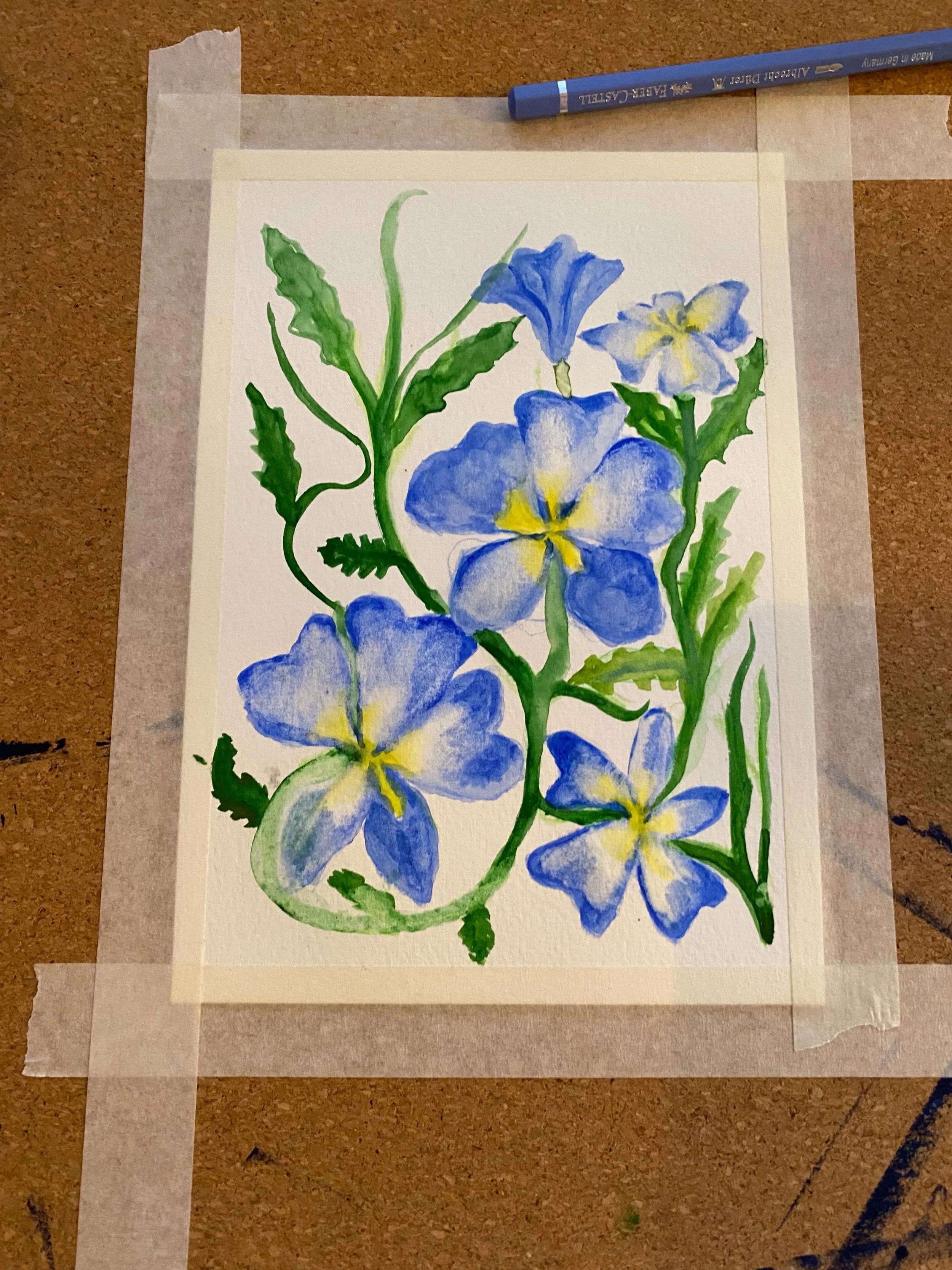 A few little studies in progress of the lovely Dampiera stricta flowers I&rsquo;ve been seeing at work