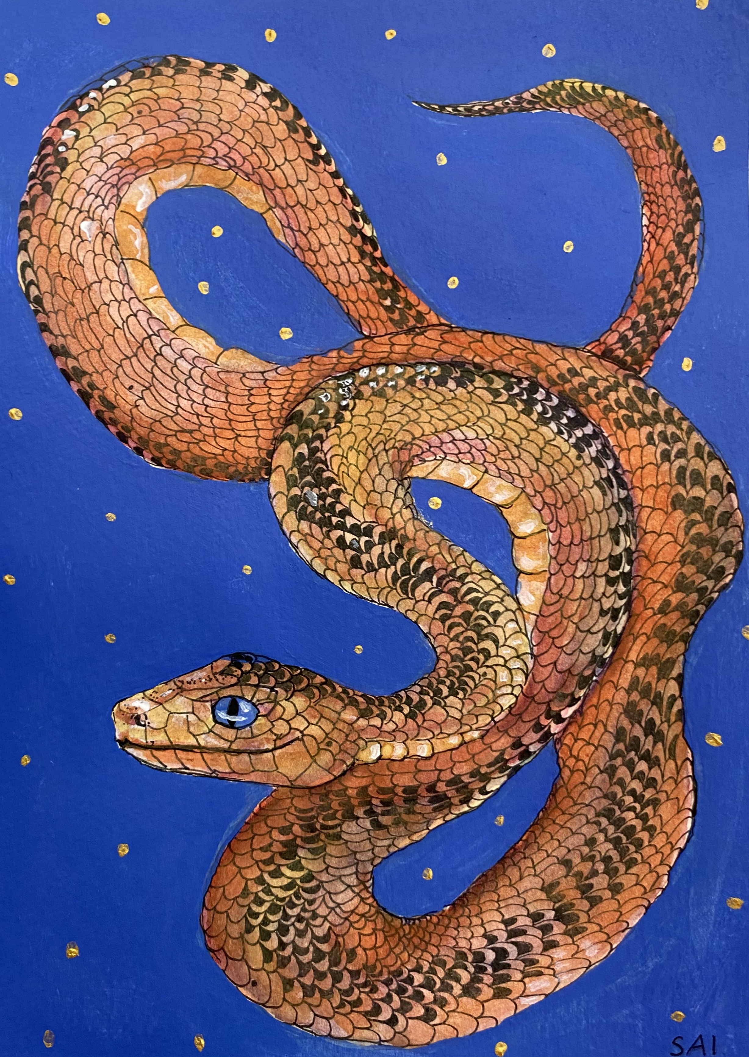 'Serpent in the Stars' A5, Mixed media, watercolour, ink pen and acrylic $125