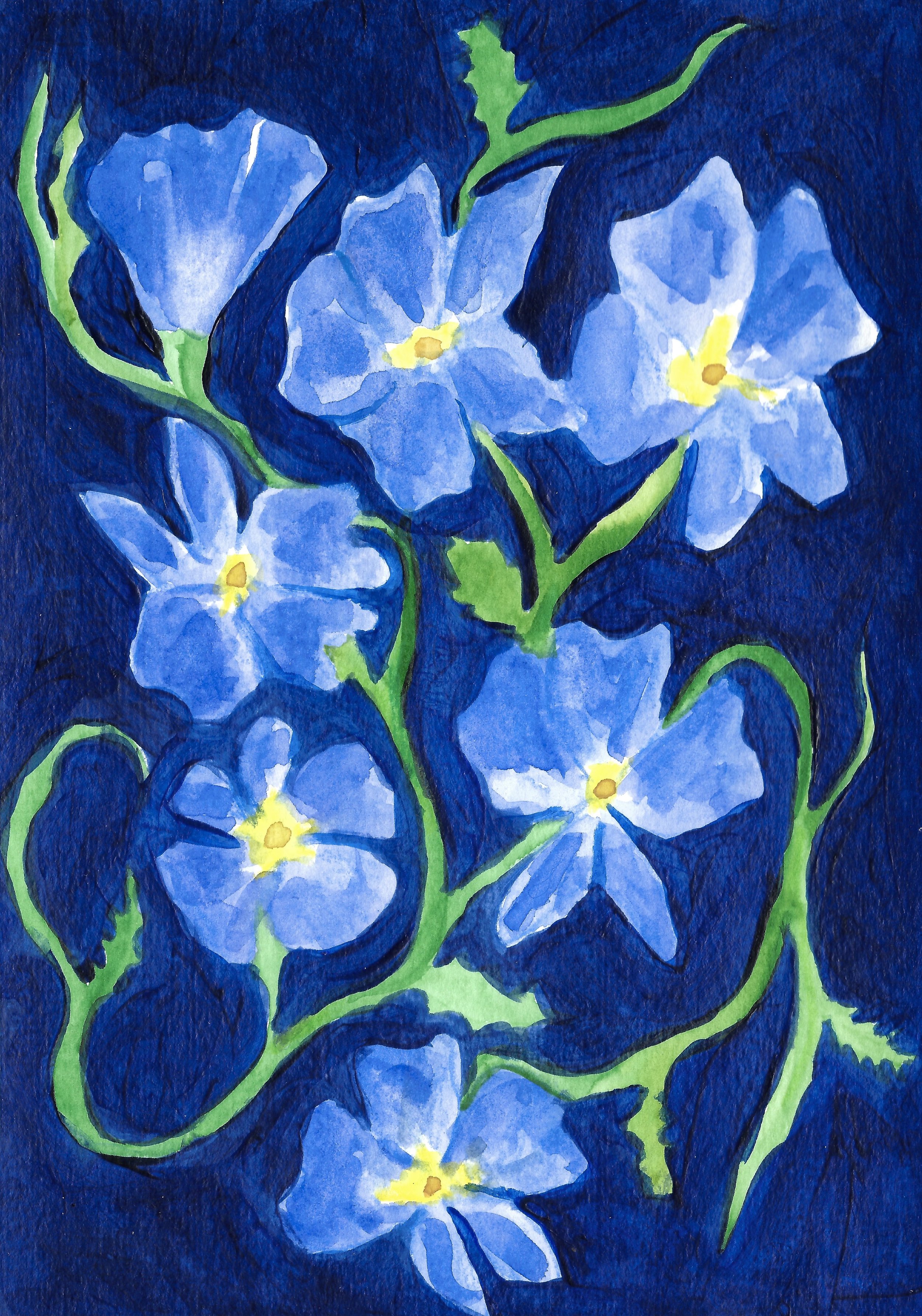 'Dampiera stricta' A5 - Watercolour and Acrylic on Paper $125