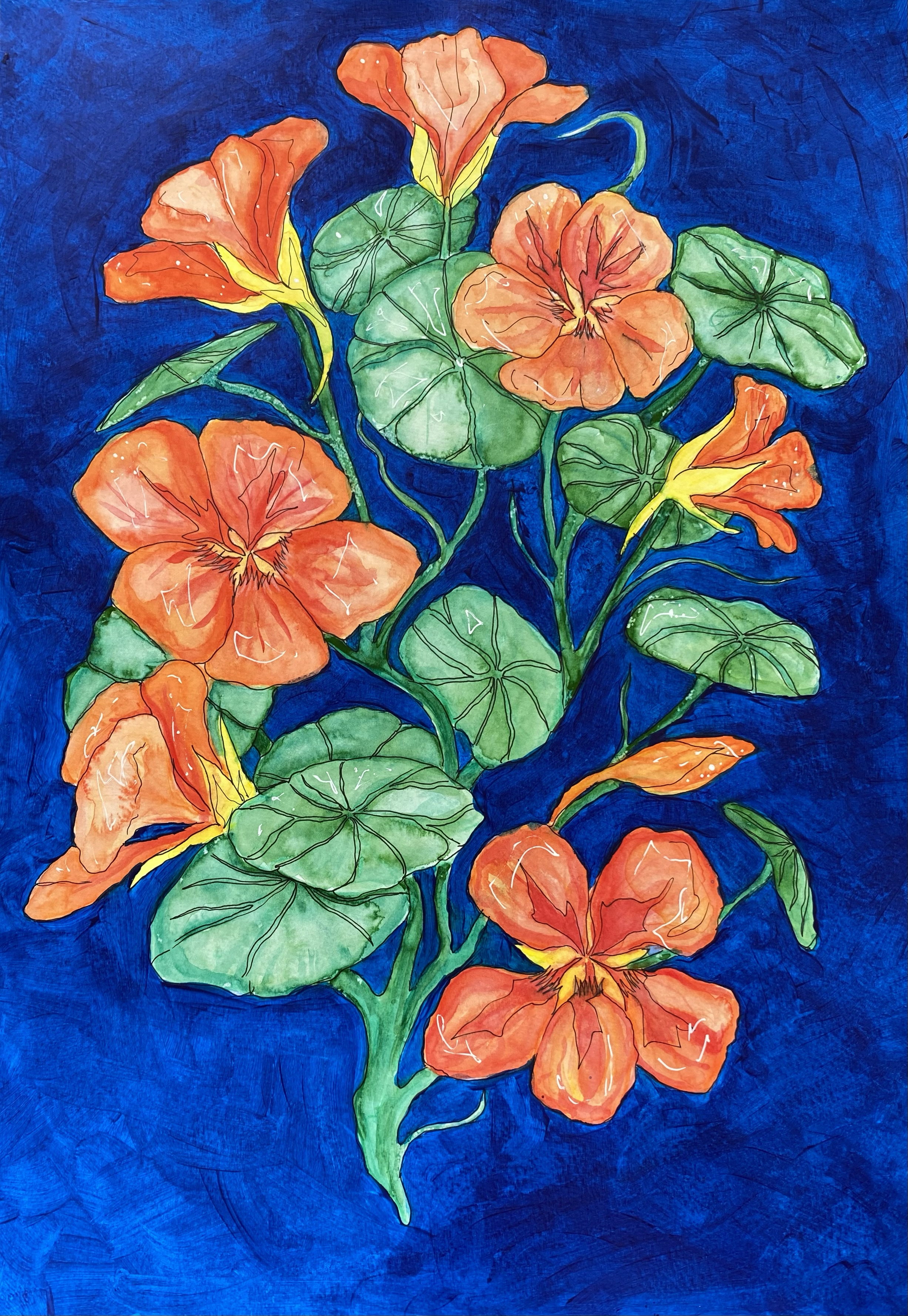 'Nasturtium 02' - A3 Watercolour on Paper
SOLD
