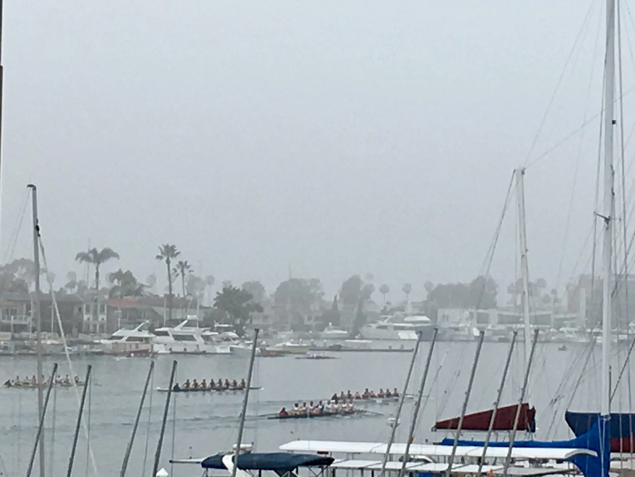 Strong Outings from Competitors too much for LBS Rowing at Newport Regatta