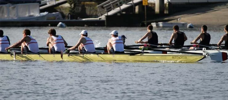 Novice Men Returning to OCC's Newport Regatta