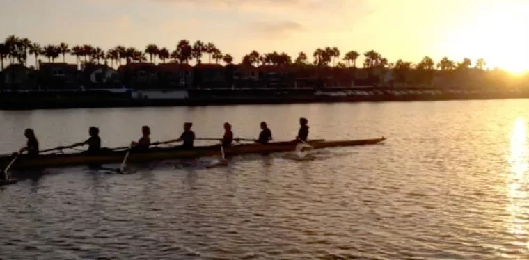 Novice Gets Caught in a Pickle