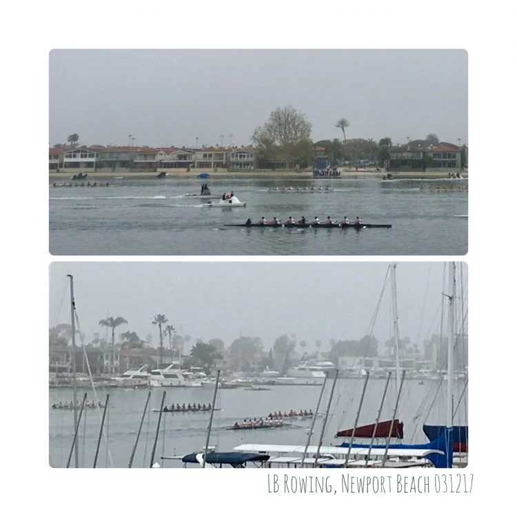 Strong Outings from Competitors too much for LBS Rowing at Newport Regatta