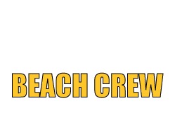 BCA Elects Board of Directors