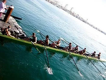 Beach Returns to Head of the Harbor