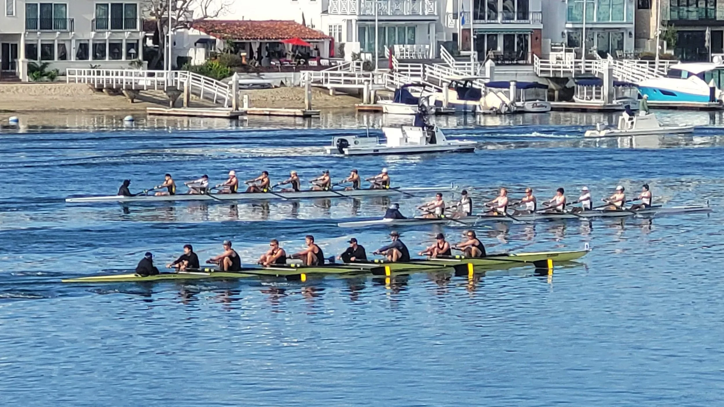 Newport Regatta 2025