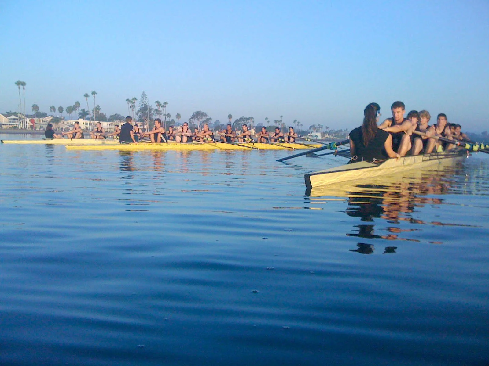 Two rowing crews practicing on calm water with houses and palm trees in the background, during daytime.