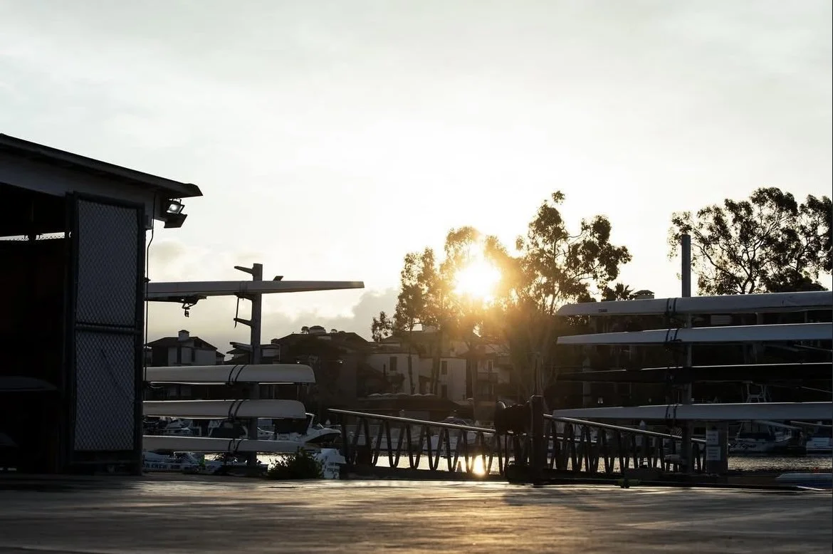 Sun setting behind trees near a marina with boats and a dock.