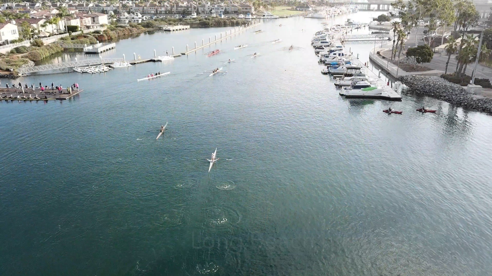 A harbor with several boats and kayaks, a dock with people, along with residential buildings and palm trees nearby.