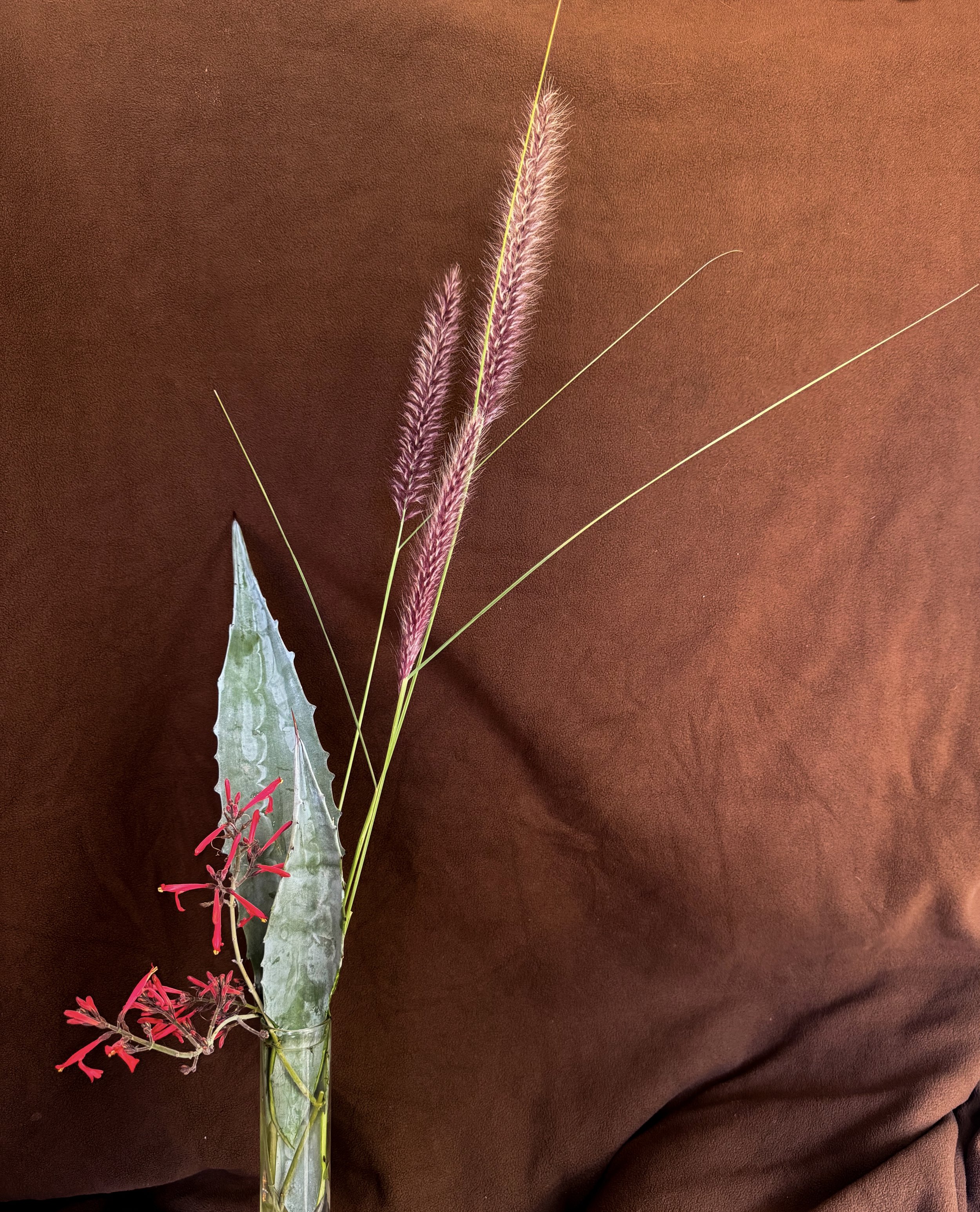 Shoka style arrangment with foraged plants. 2025
