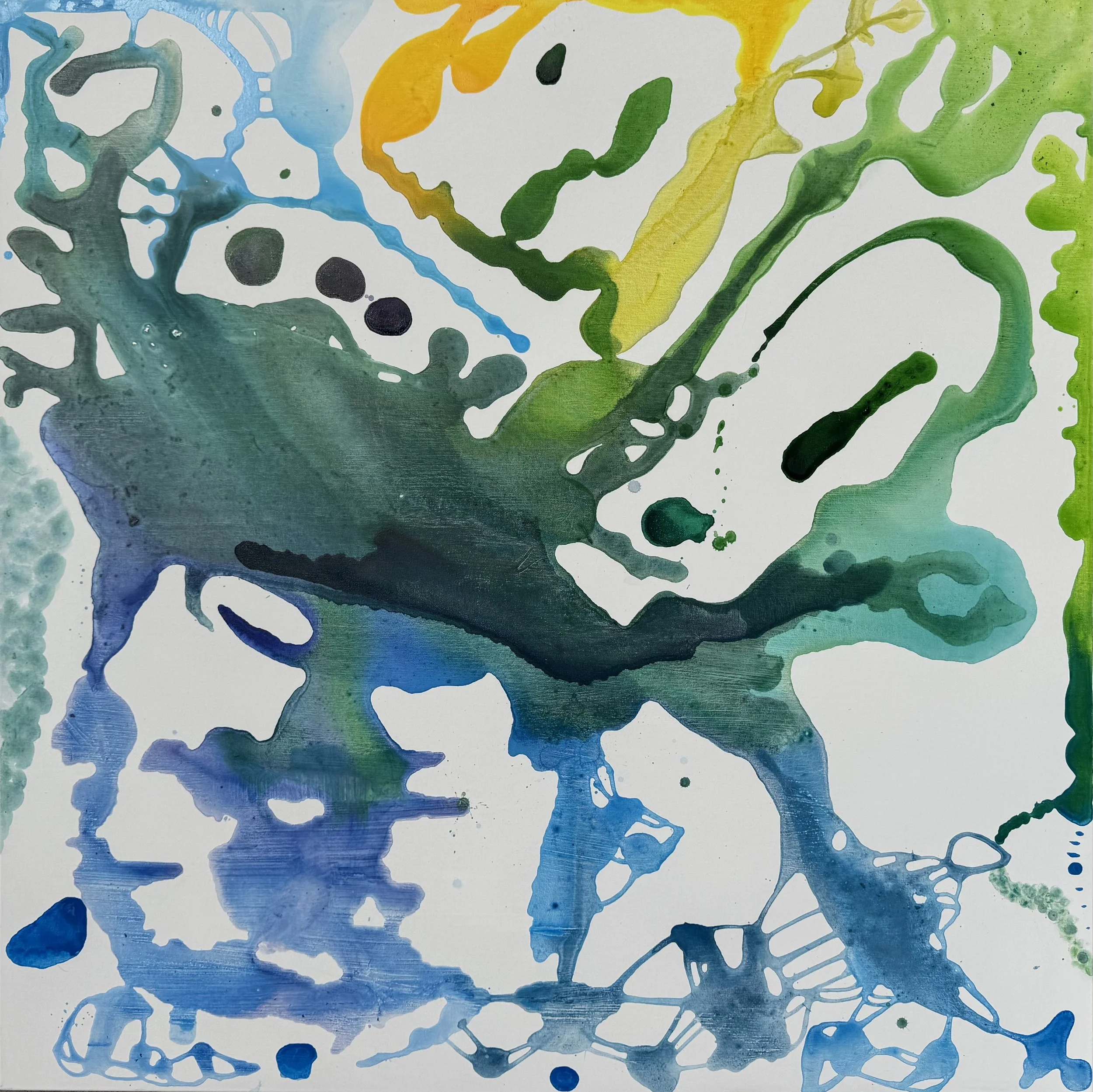 "Amphibious" 2026 46x46 in Acrylic on Canvas