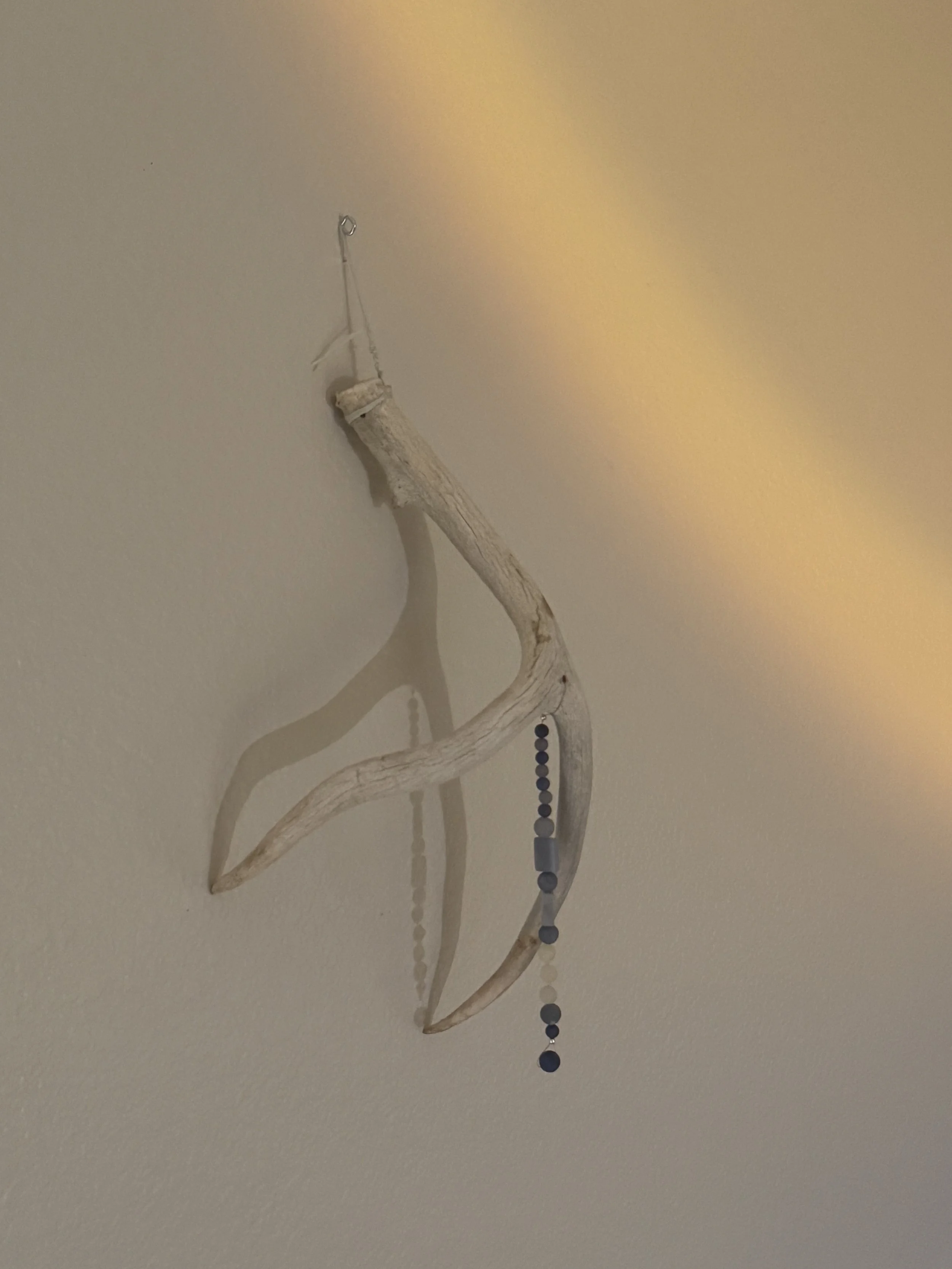 "Object of Worship: Dream Tool" 2025. Deer antler and angelite beads.