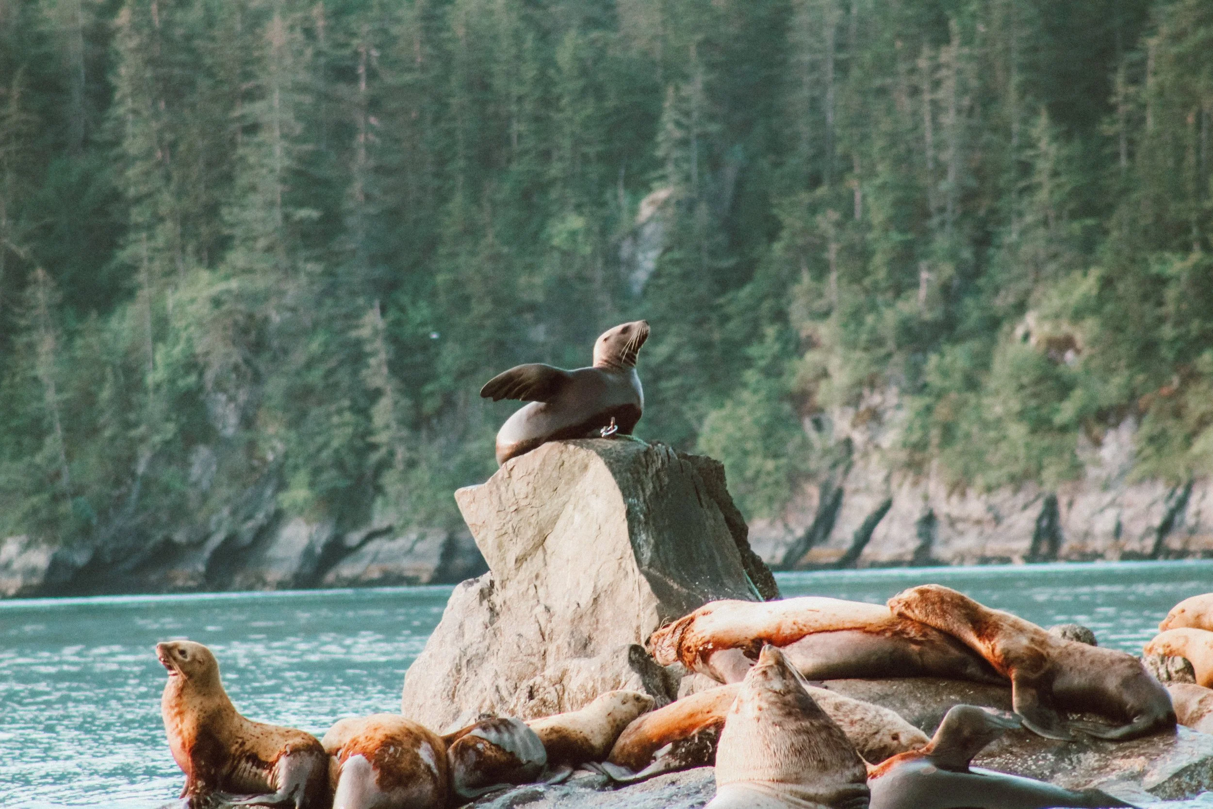 Alaska 2019