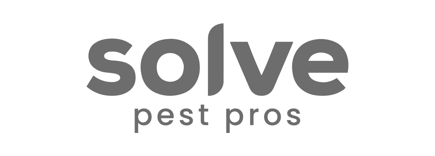 Your Site Title