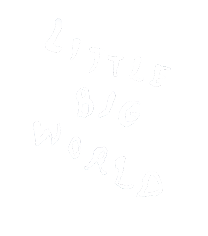 Little Big World - Test