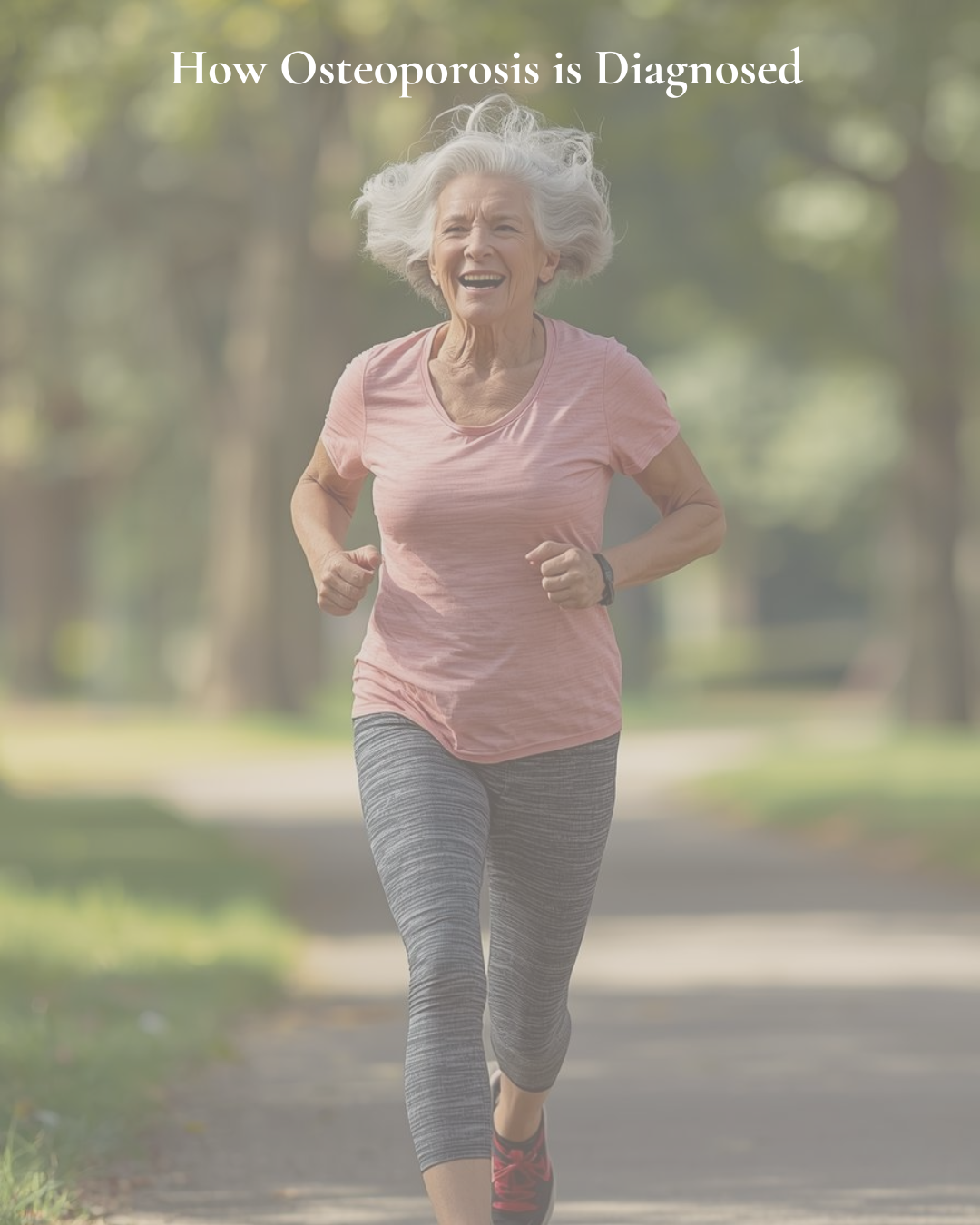 Part 2: How Osteoporosis Is Diagnosed — Understanding Bone Density Tests and Fracture Risk