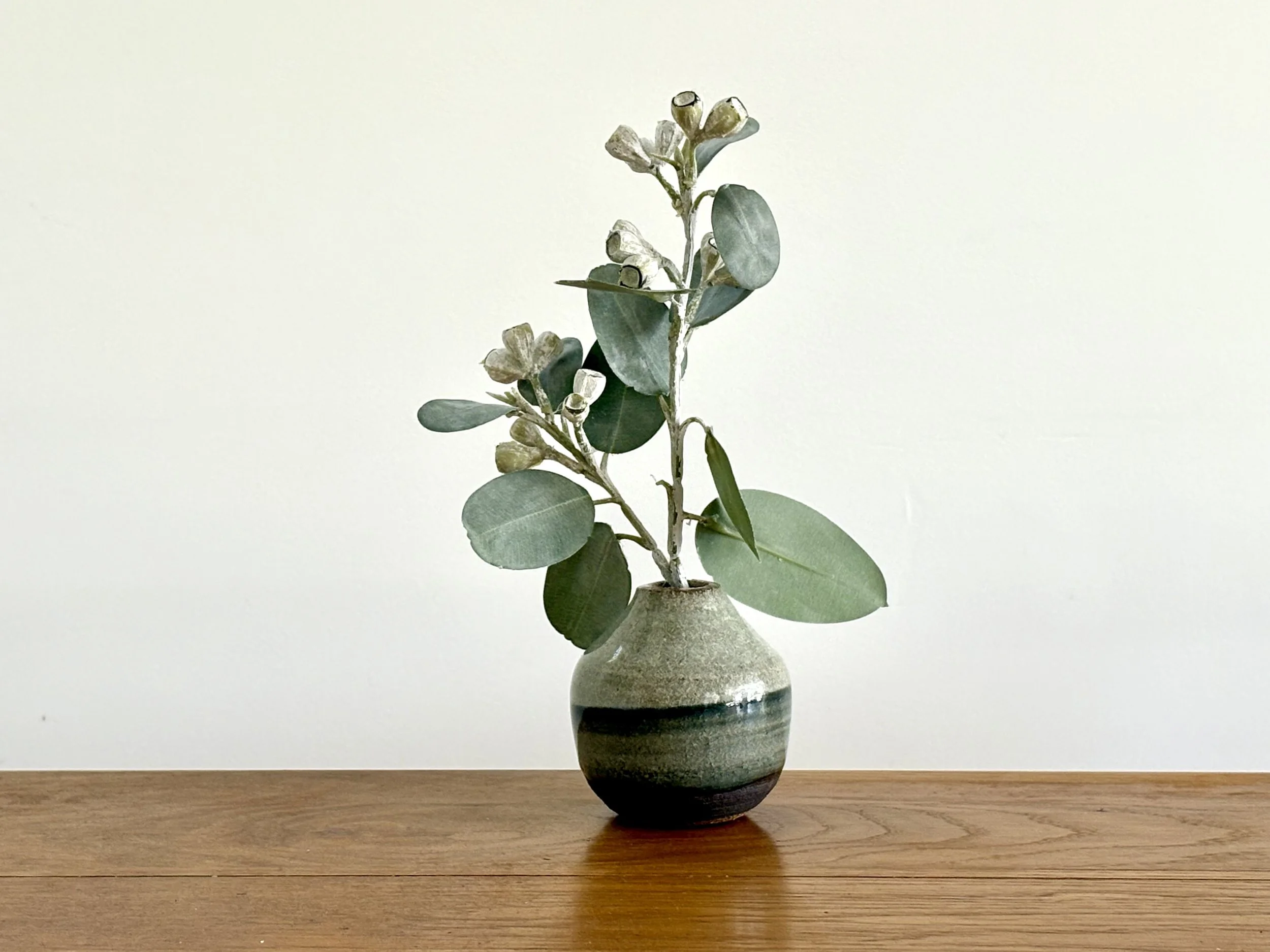 ecalyptus plant pot.jpg
