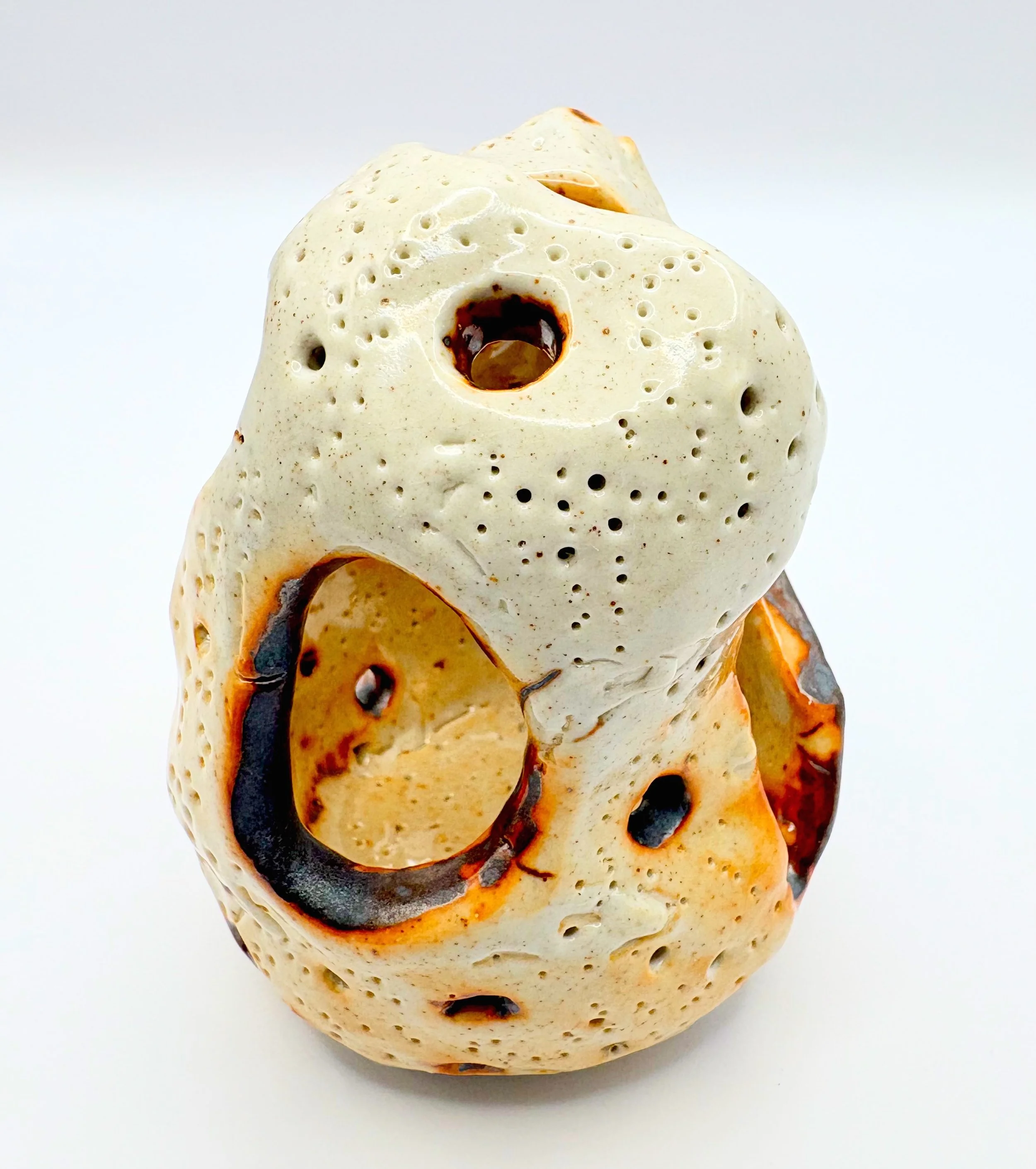 Coral preview - On sale soon.