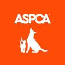 ASPCA.jpg