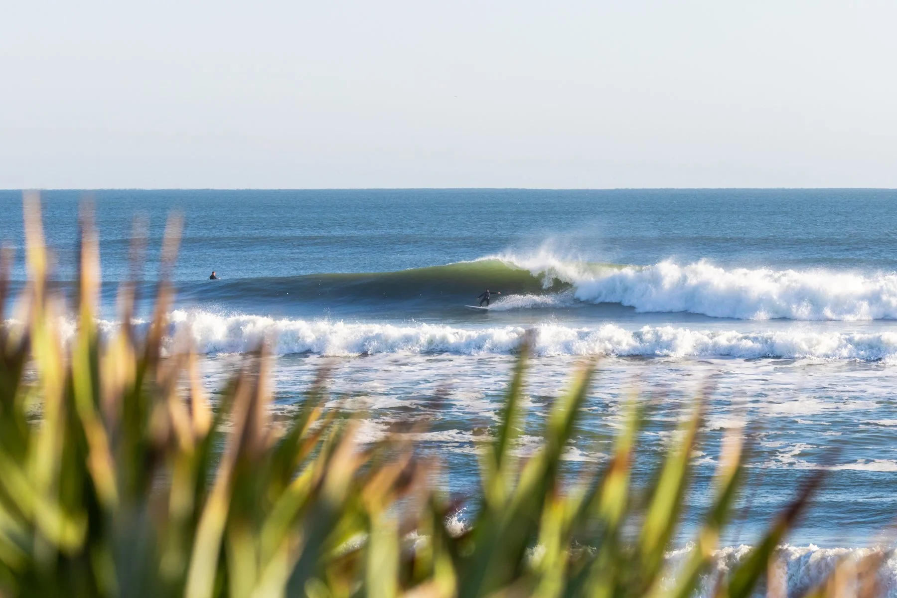 Canaveral Seashore 11-19-19-13.JPG