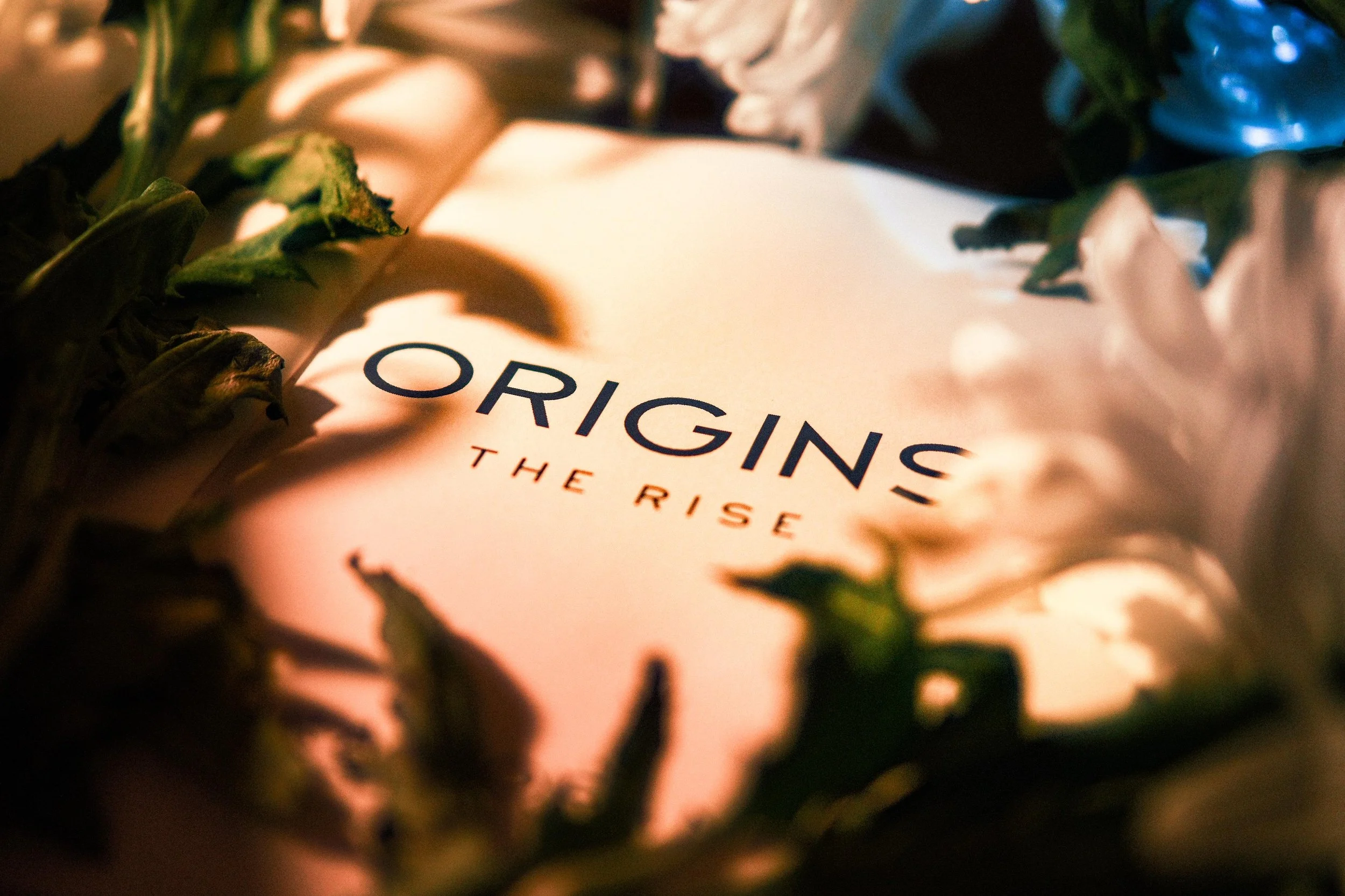 WhatsApp Image 2025-12-01 at 01.17.38.jpeg