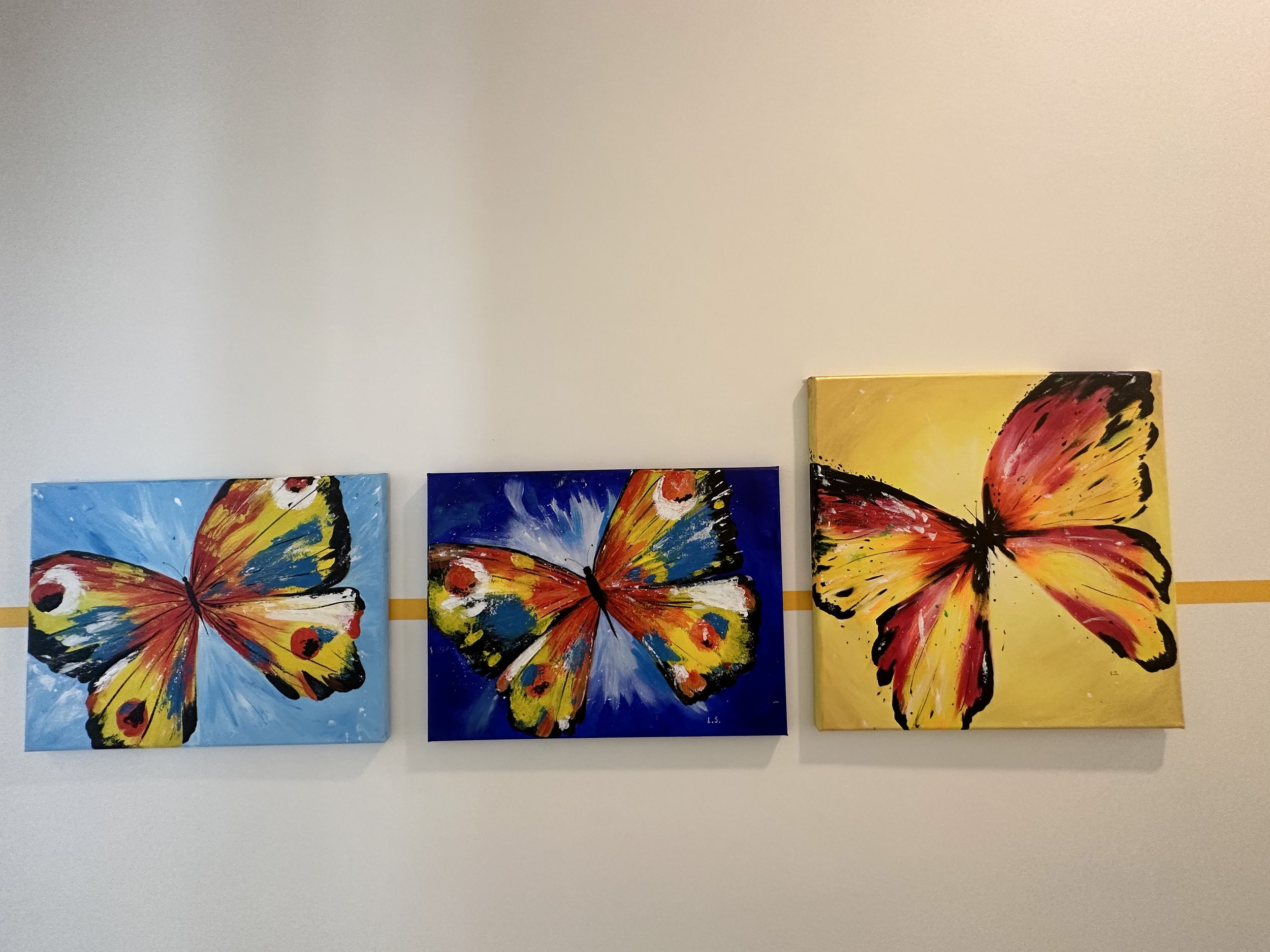 Three colorful butterfly paintings hung side by side on a white wall with a yellow line across.