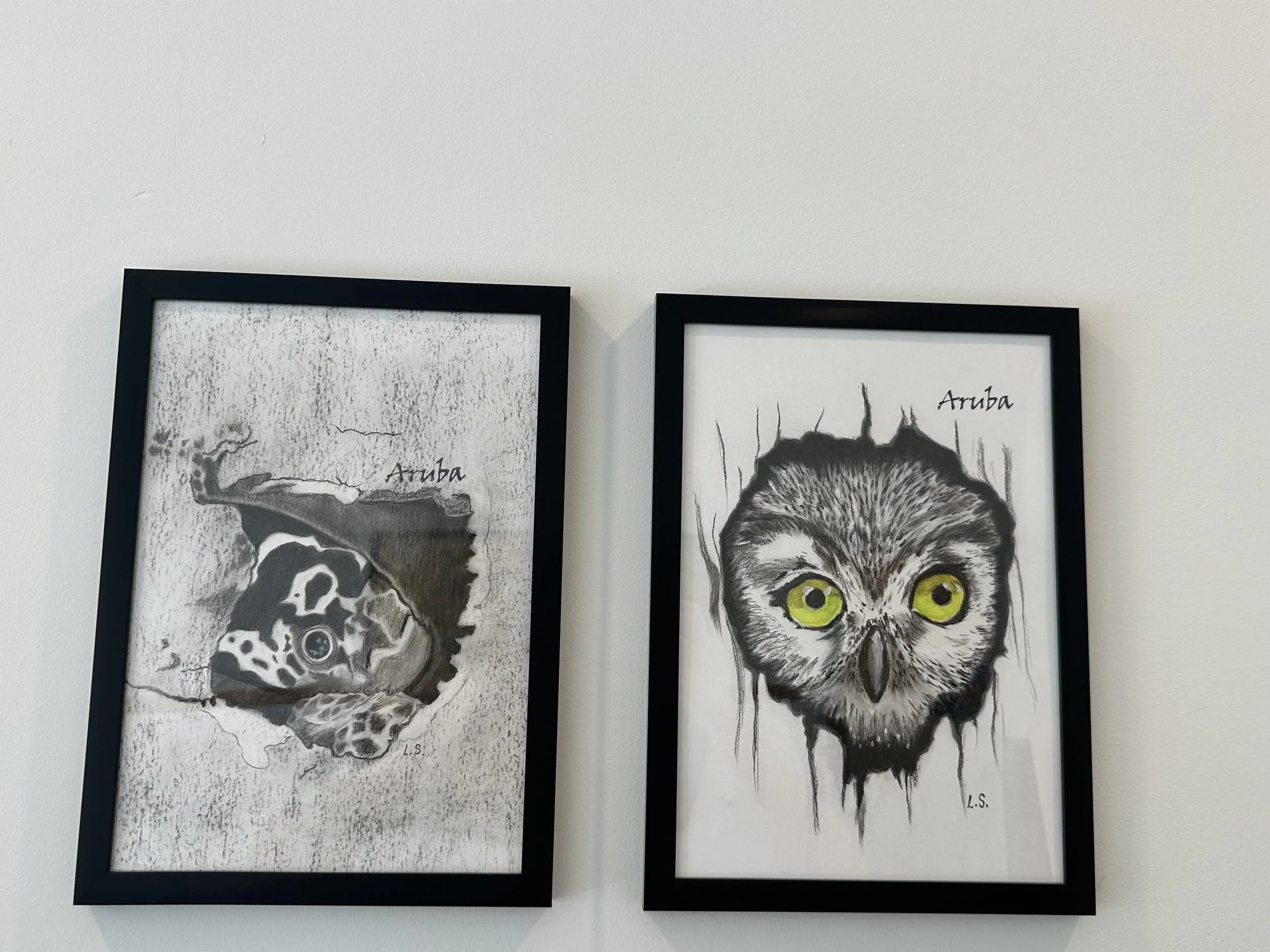 Two framed black and white animal illustrations on a white wall. The left depicts a butterfly with detailed wing patterns next to the word "Aruba." The right shows an owl with vibrant green eyes and the word "Aruba."