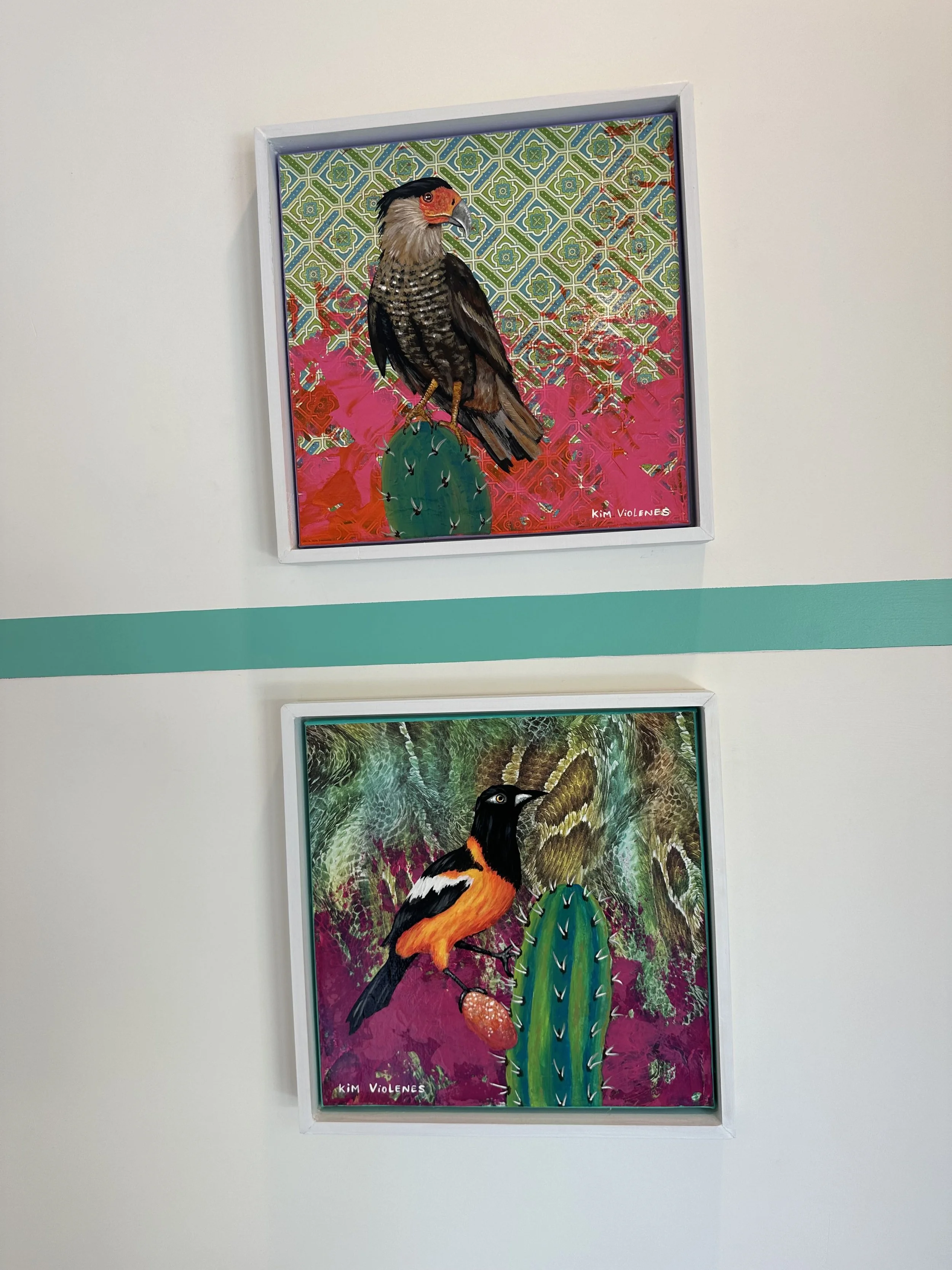 Two colorful paintings of birds perched on cacti, displayed on a white wall with a turquoise stripe. The top painting features a bird with orange and black markings, and the bottom painting shows a bird with orange, black, and white feathers.
