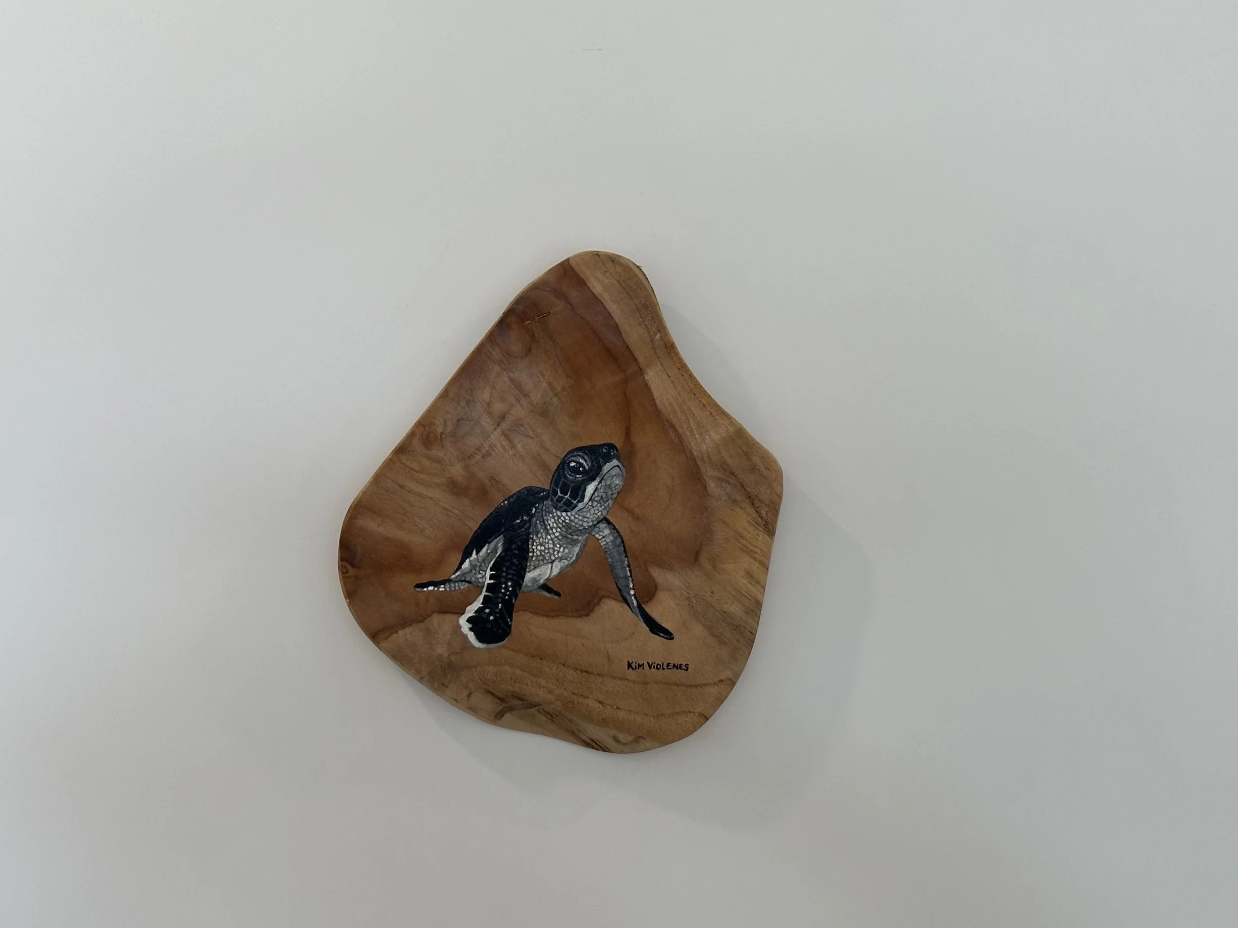 Wooden bowl with a painted iguana on the inside.